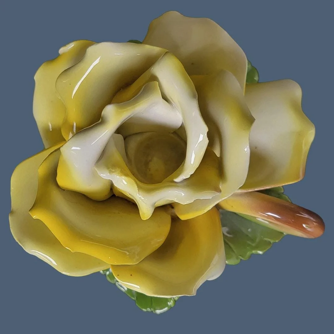 https://i.etsystatic.com/6972438/r/il/c0c553/7119756328/il_fullxfull.7119756328_l7qq.jpg