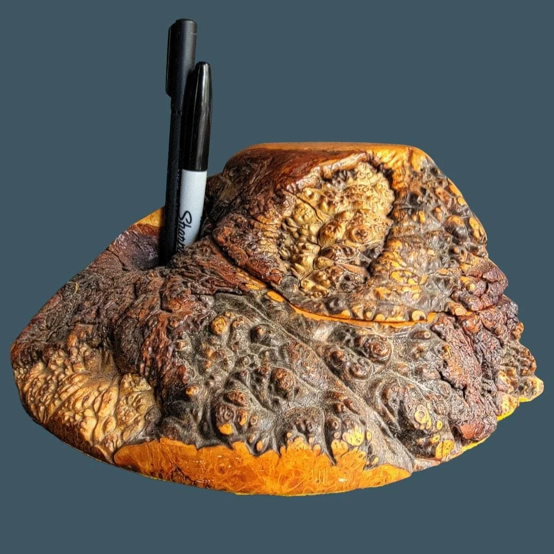 https://i.etsystatic.com/6972438/r/il/8dc606/7888193294/il_fullxfull.7888193294_bat6.jpg