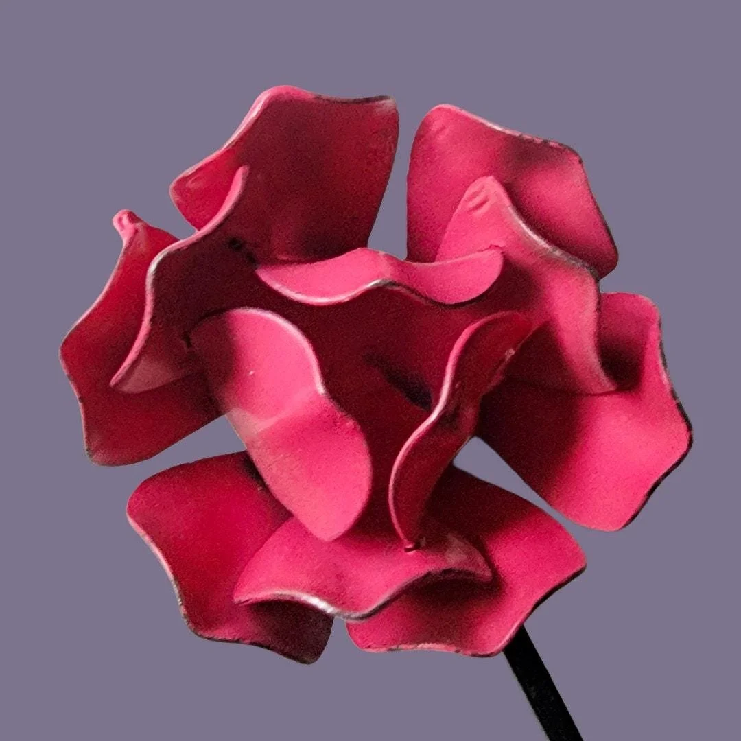 https://i.etsystatic.com/6972438/r/il/ee27f1/7798370319/il_fullxfull.7798370319_1m3n.jpg