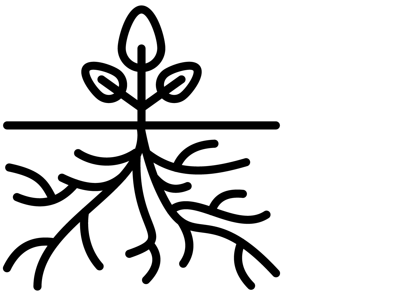 M1.png
