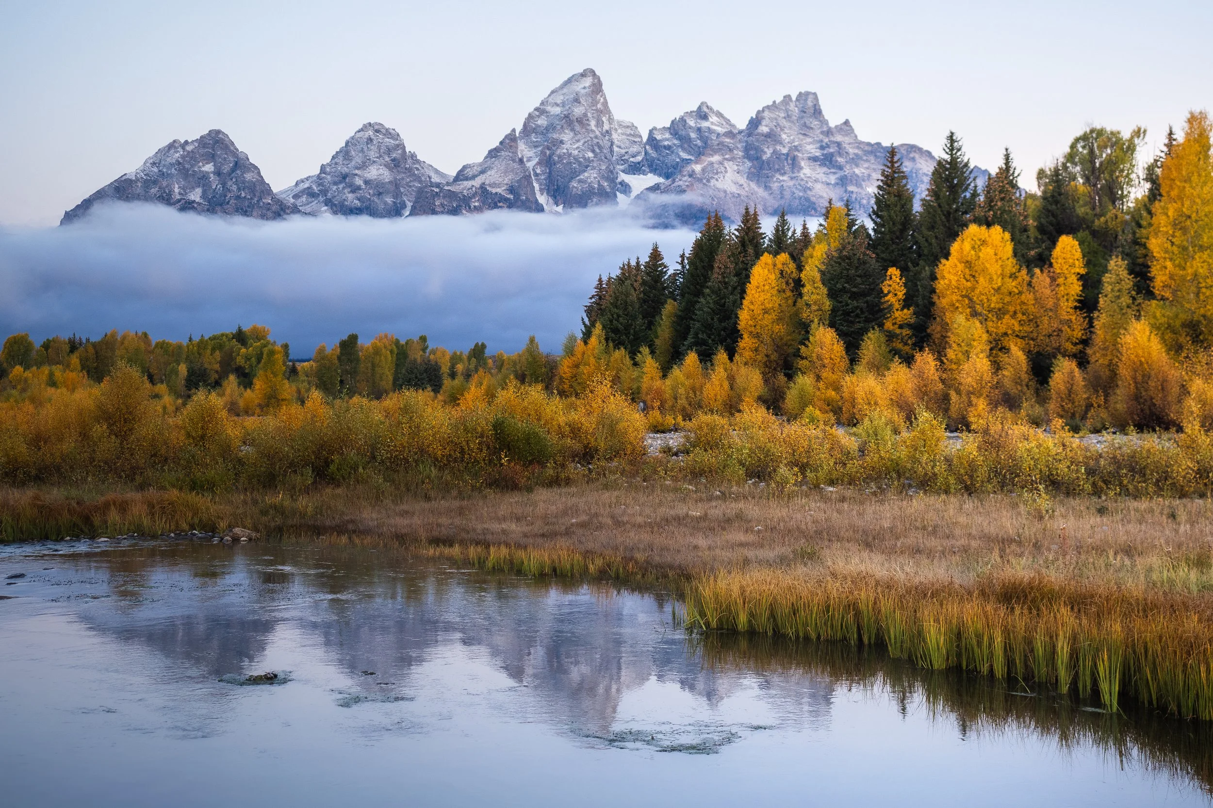 Golden Tetons