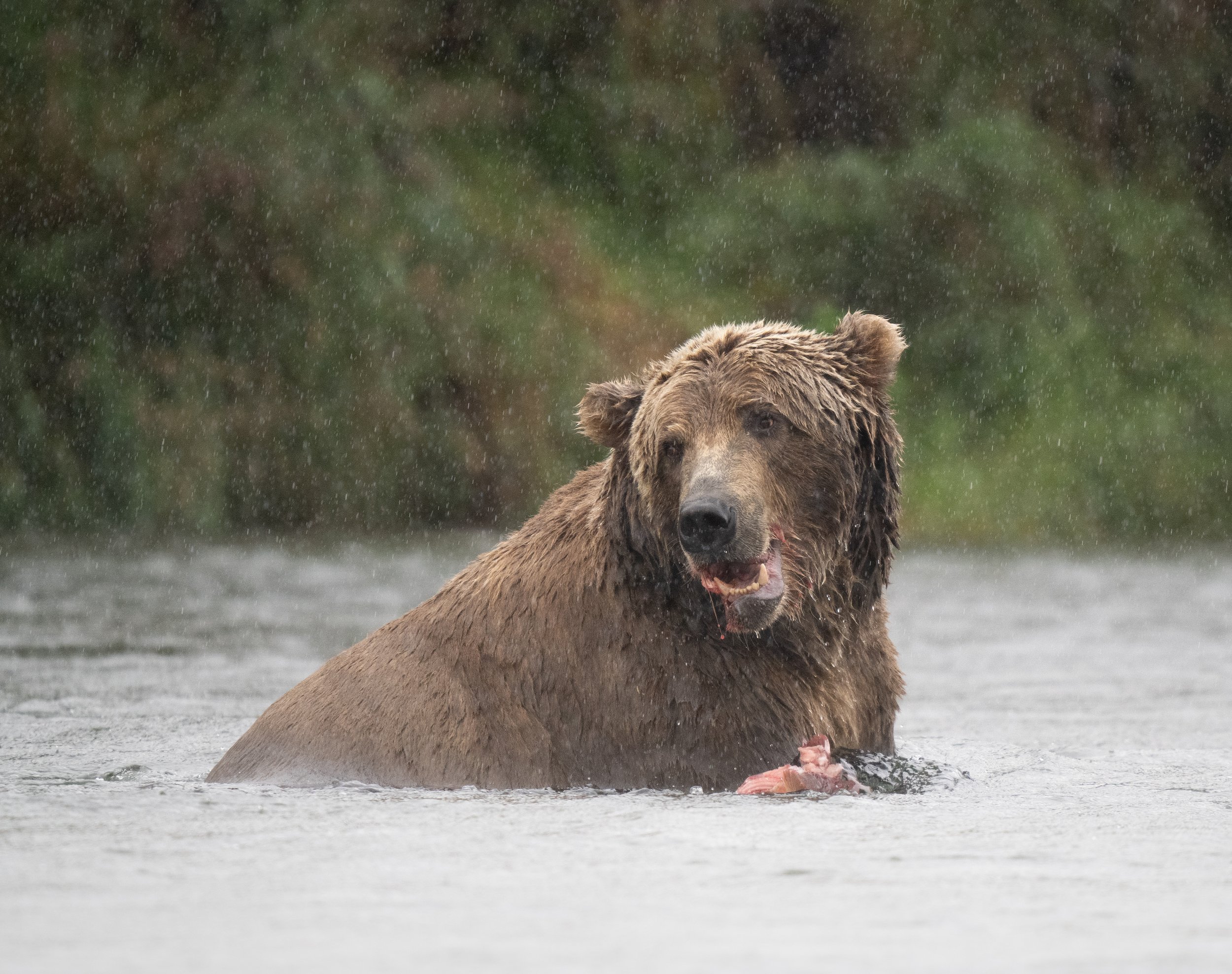 Amidst the Rainfall