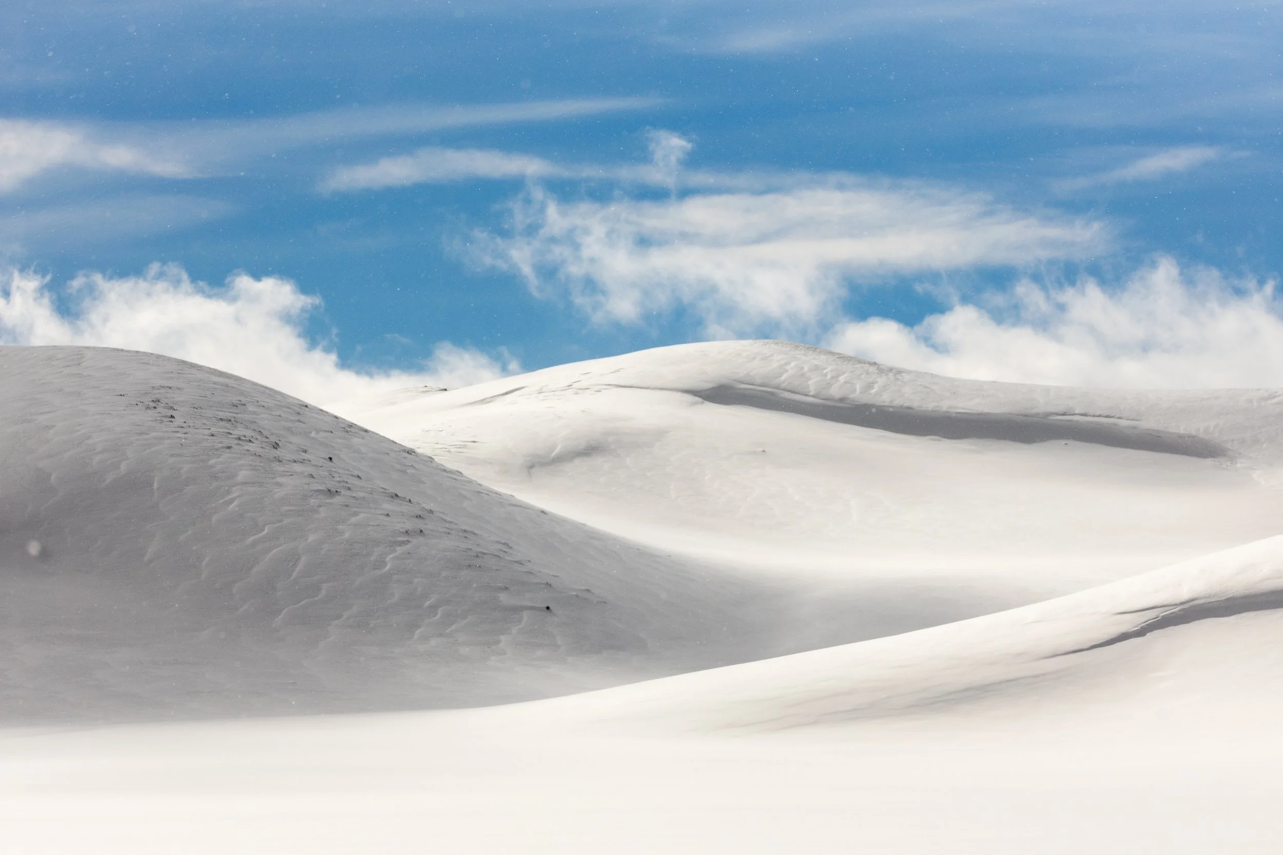 Landscapes-TiffanyTaxis-2.jpg