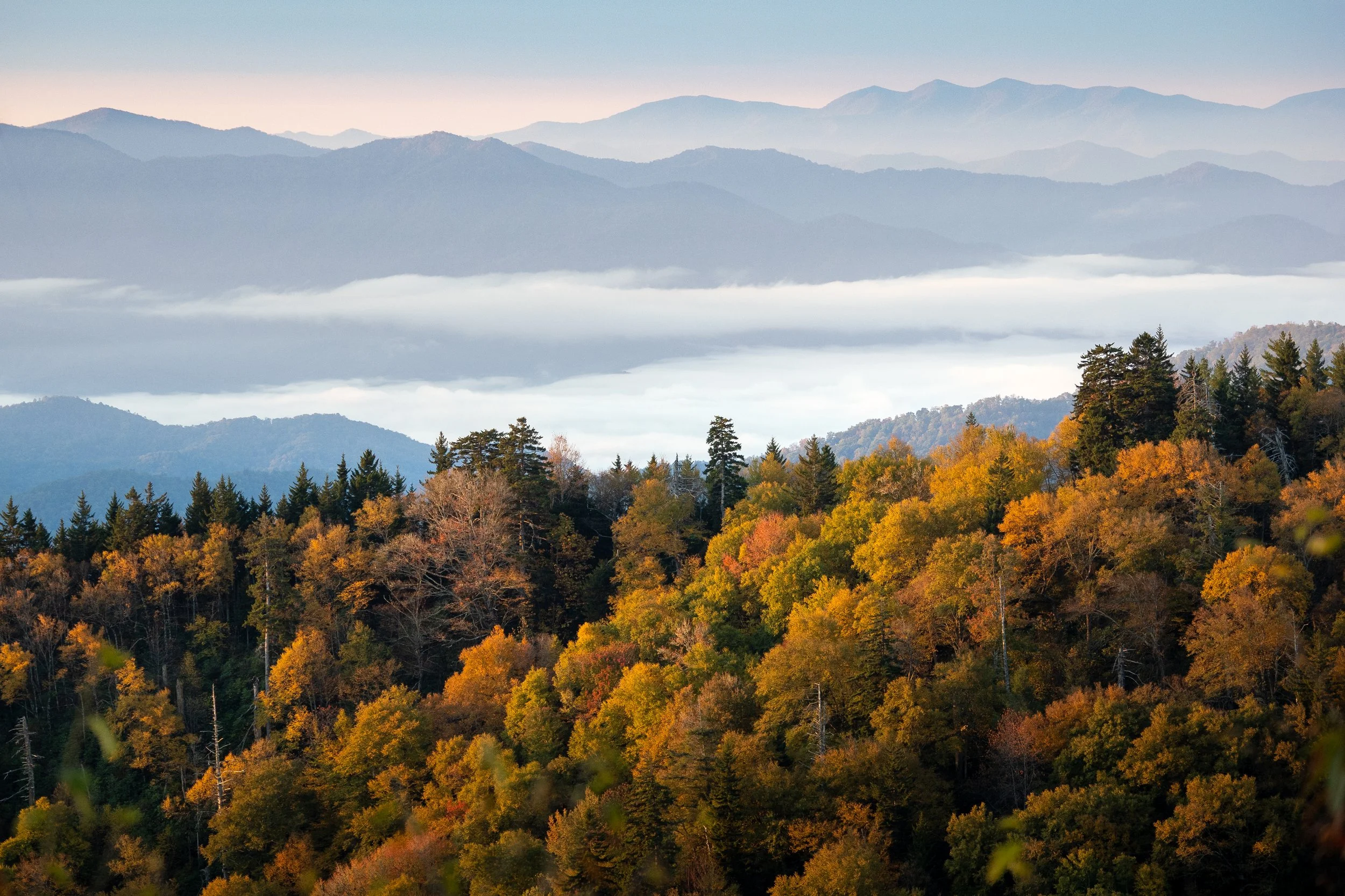 Landscapes-TiffanyTaxis-3.jpg