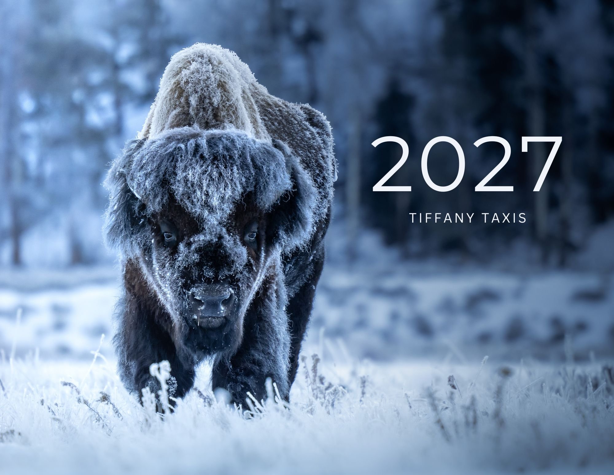 2027 Wildlife Calendar Pre-order