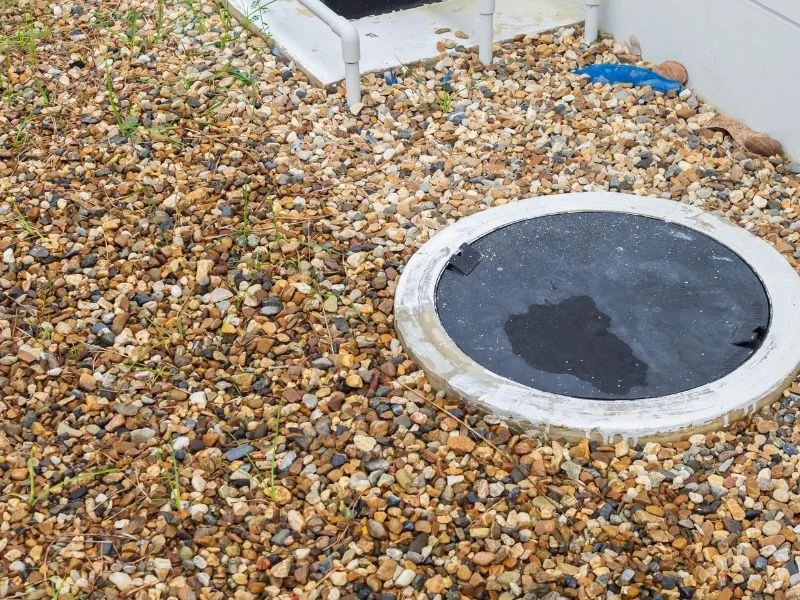 Septic Systems and Landscaping: How to Design Your Yard Around Your System