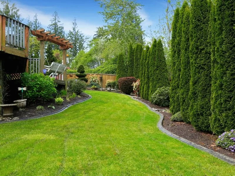 How Does Landscaping Affect the Health of Your Septic System?