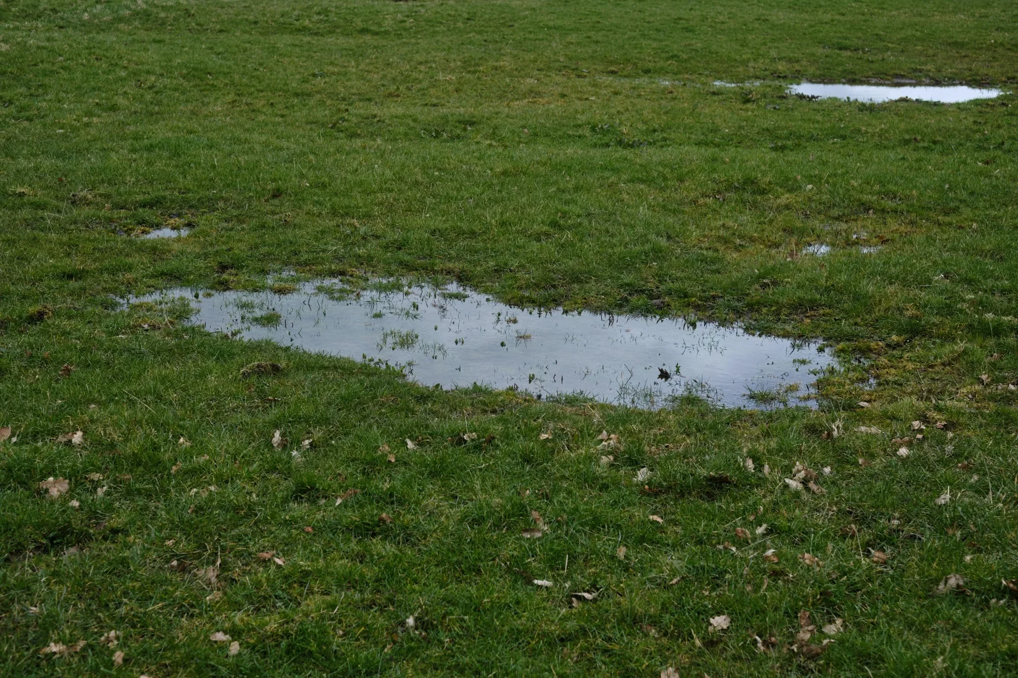 Standing Water or Sewage Smell in Your Yard: What It Means