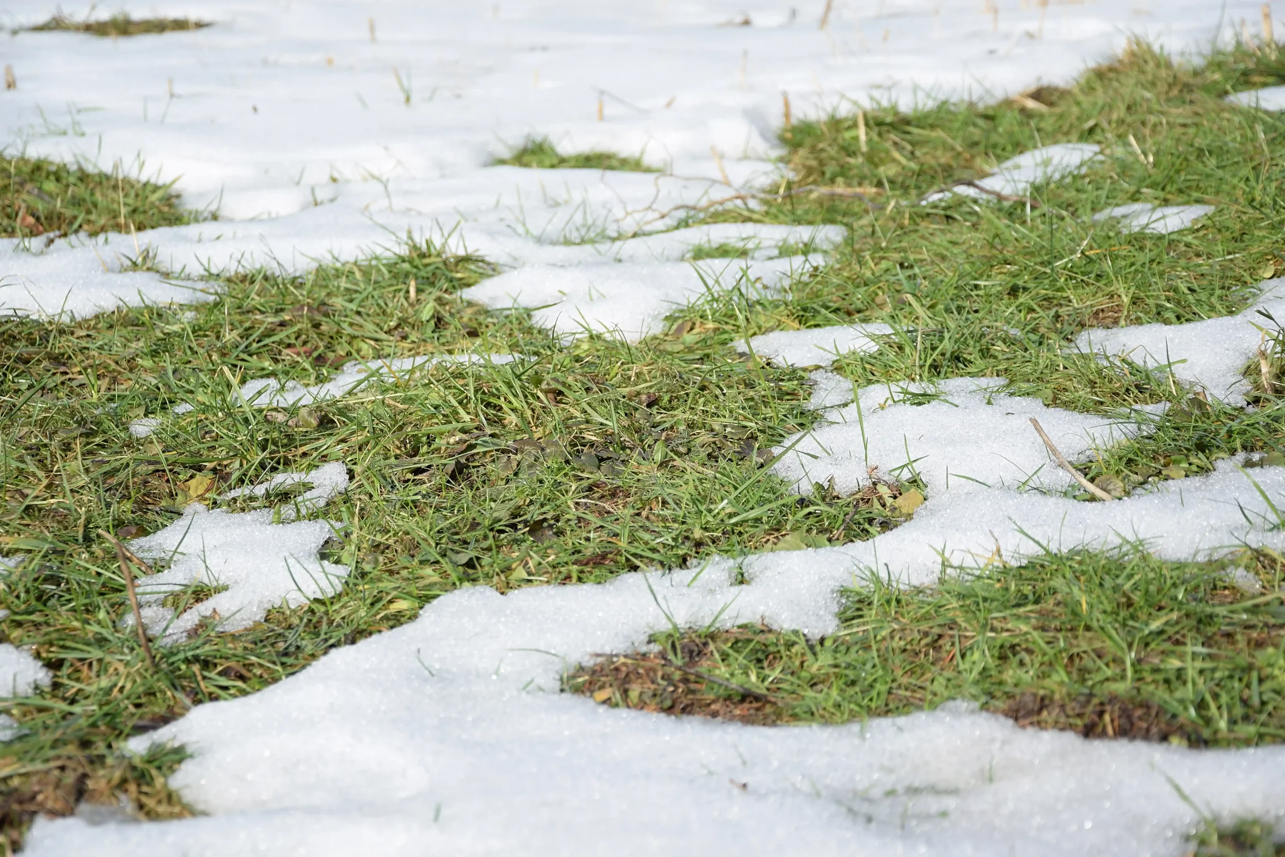 Can Heavy Rain or Snow Flood Your Septic System in New Hampshire?