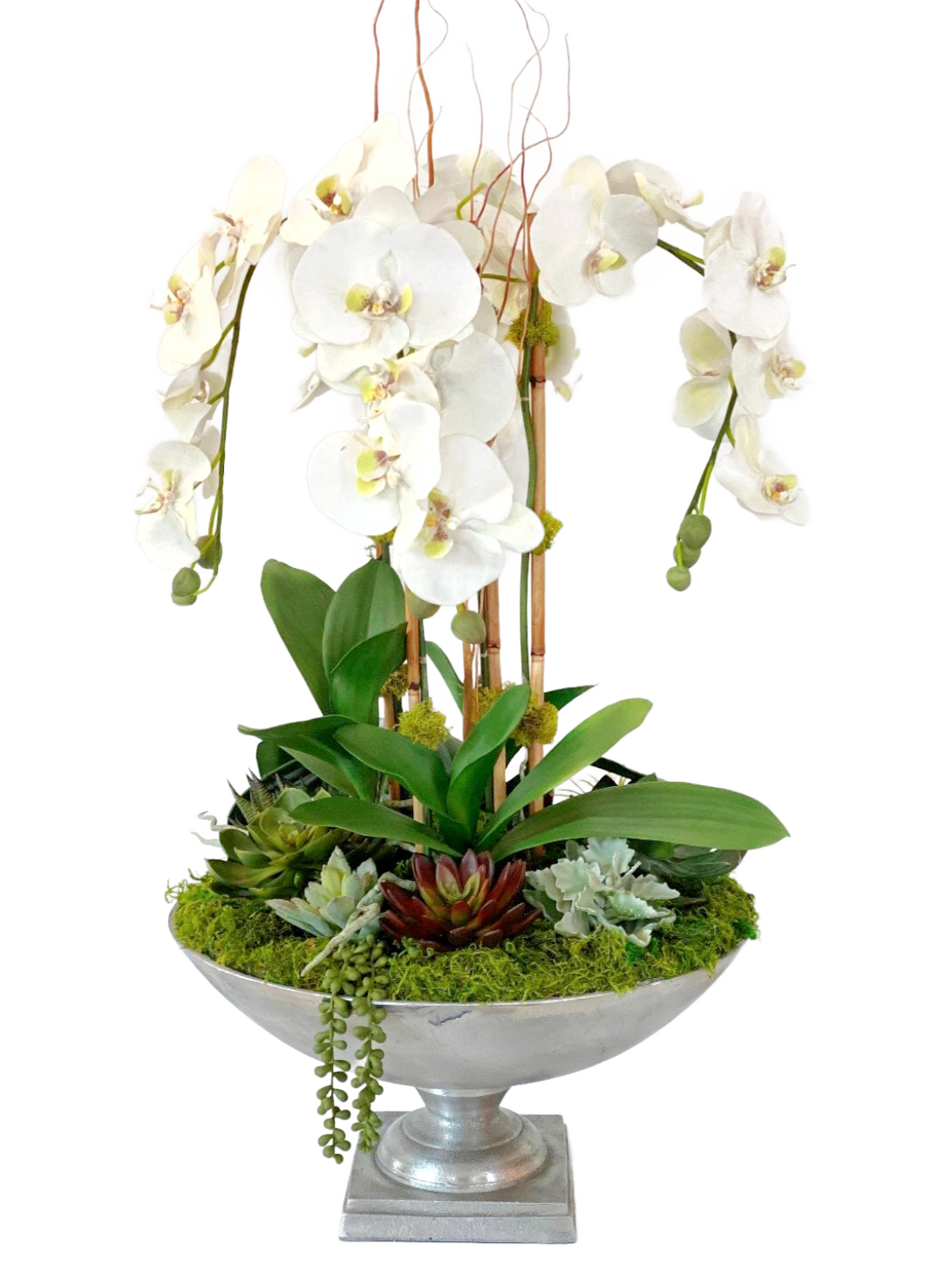 Beyond Bold Orchid/Succulent Arrangement