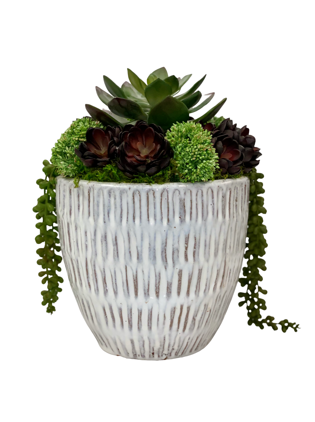 Zen Succulent Arrangement