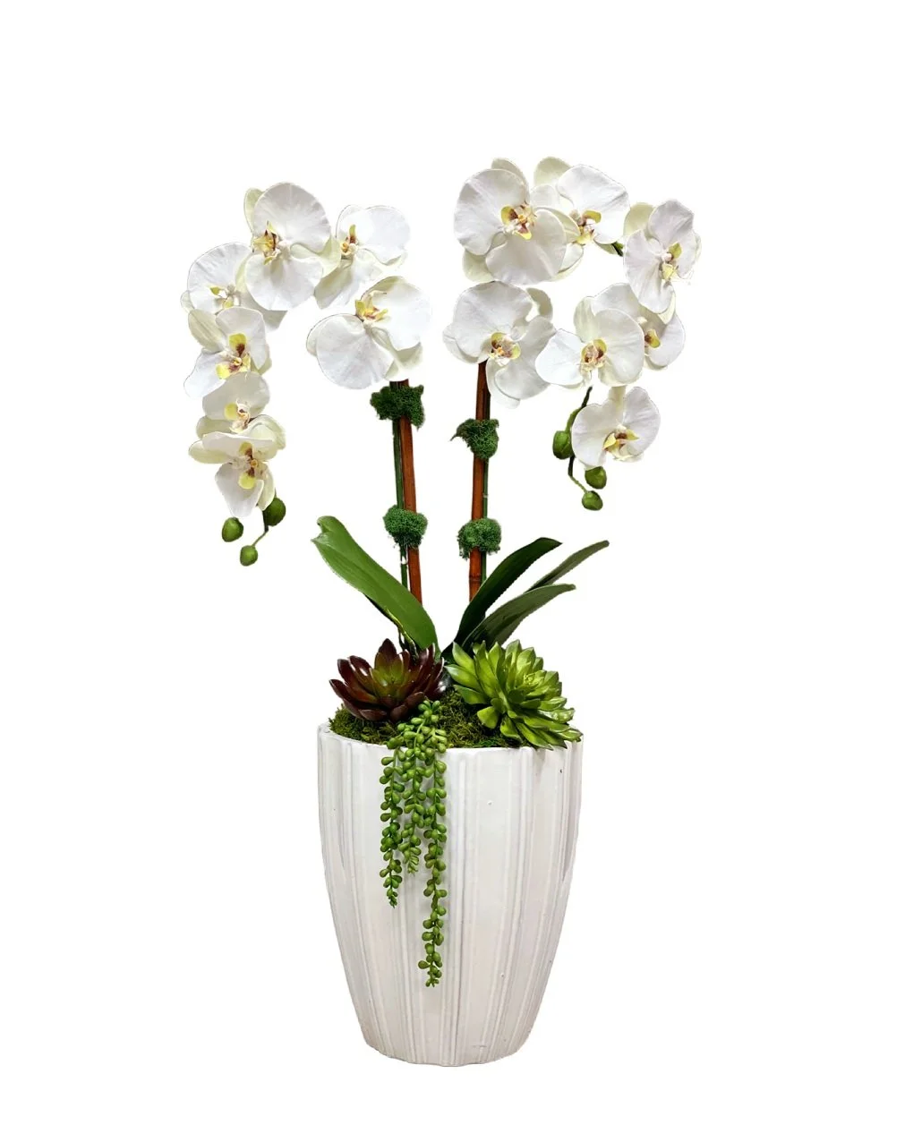 Lovely Day Orchid Arrangement *
