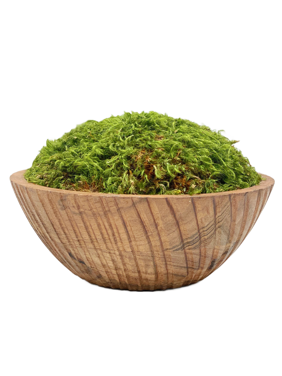 Mood Moss Bowl