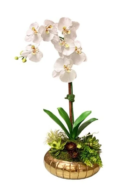 Traditional Orchid Arrangement