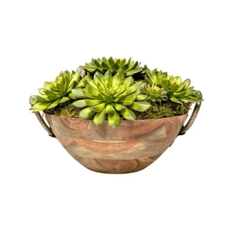 American Beauty Succulent Arrangement