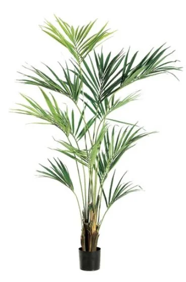 8FT Deluxe Slim Areca Palm Tree