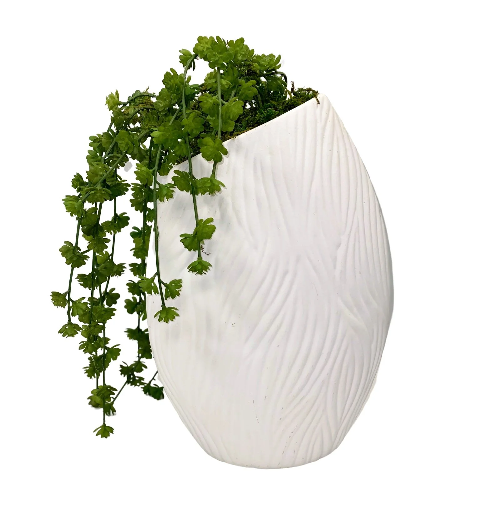 Hanging On Tight Succulent Arrangement