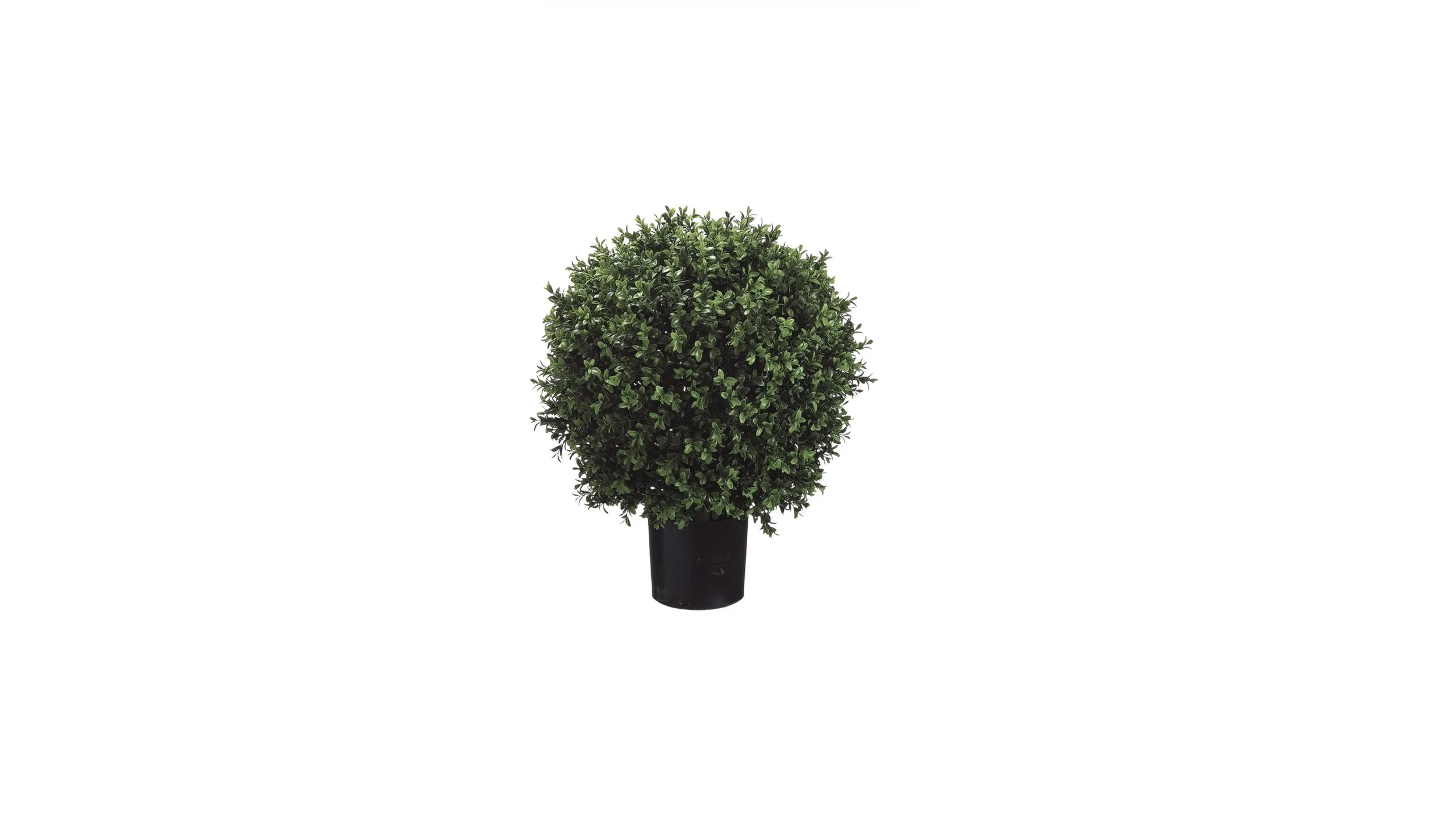 Boxwood Topiary Planter