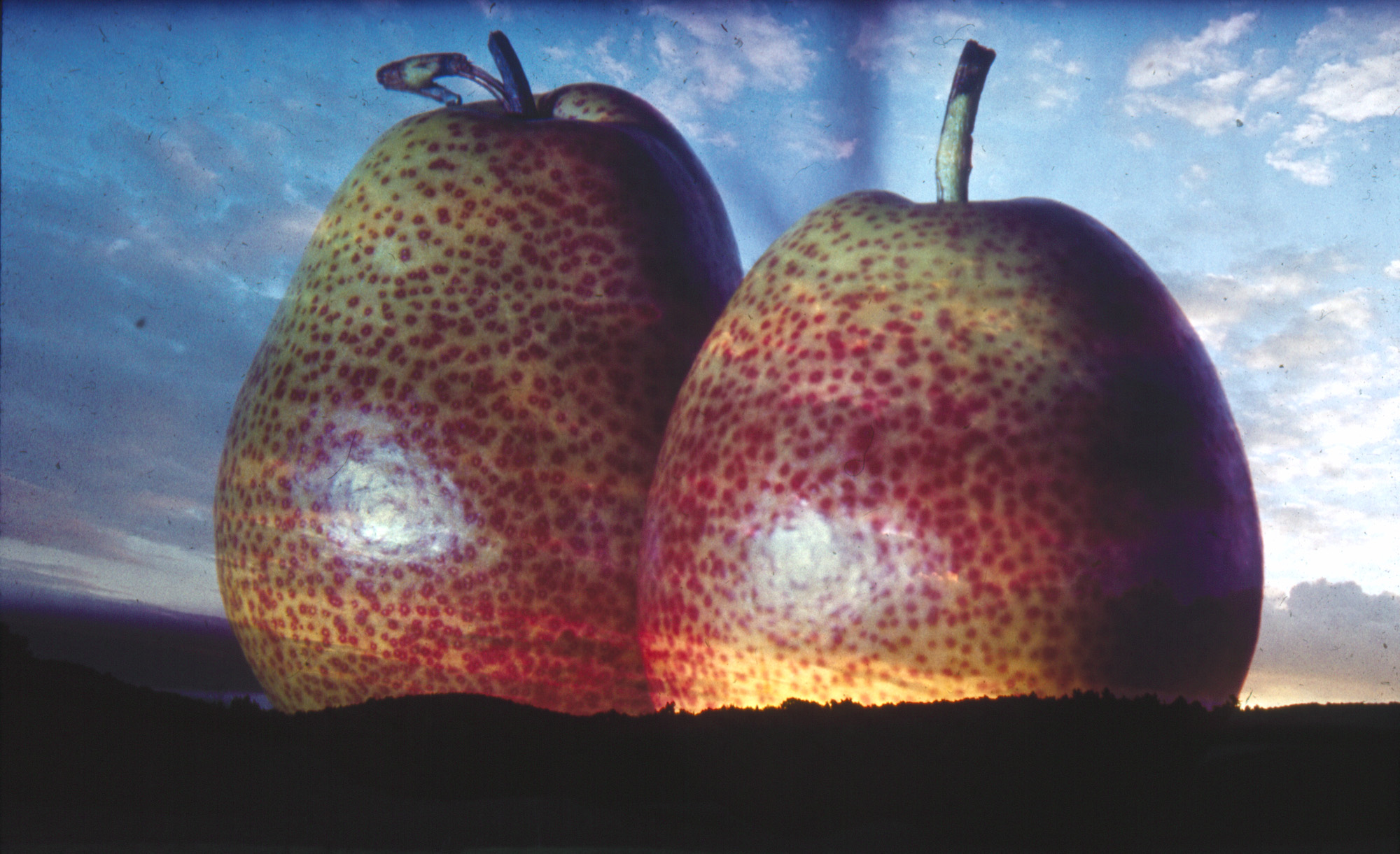 James and the Giant Pears.jpg