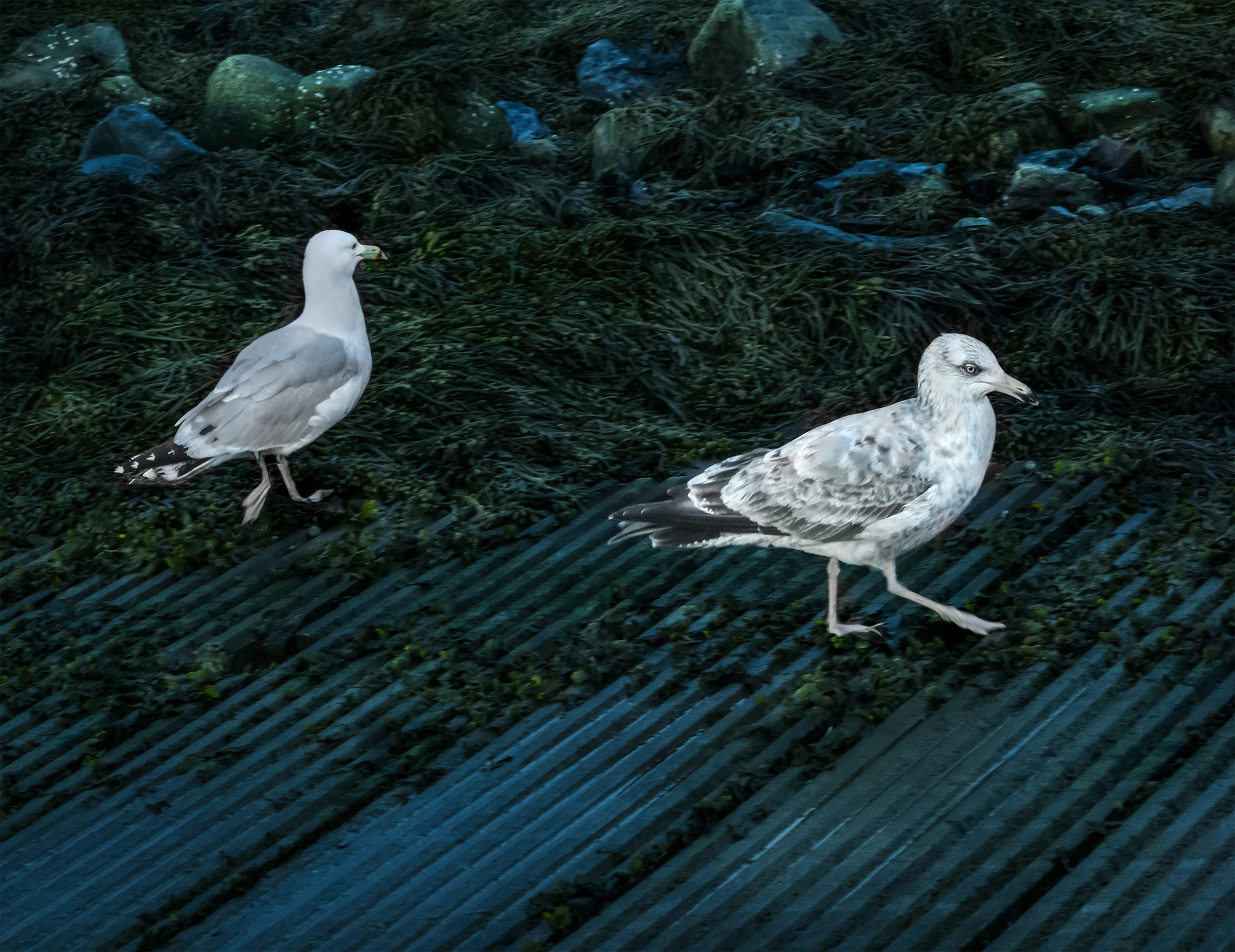 EasternPromProject_No30 copy.jpg
