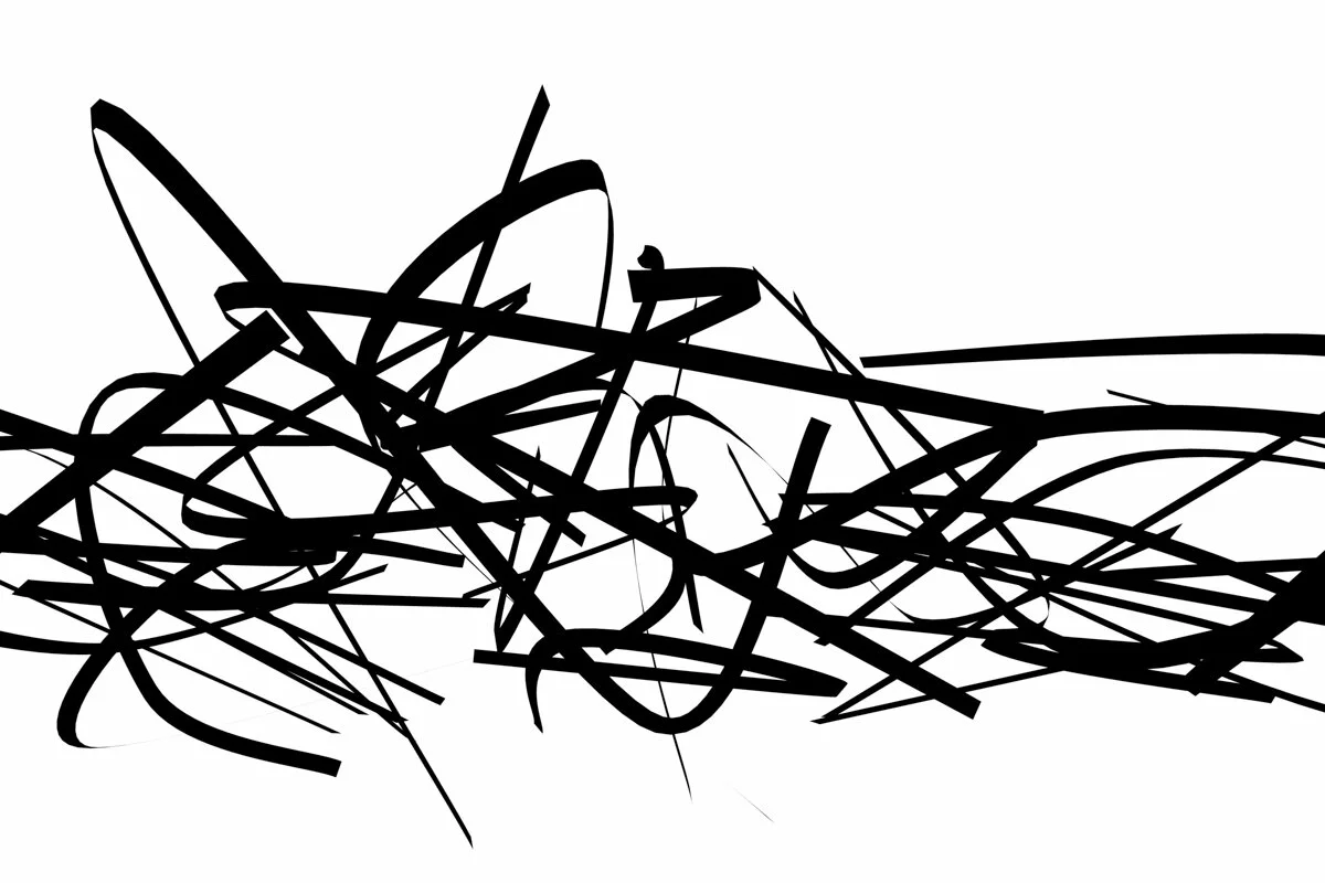 Flying Calligraphy No. 22 , Frank Mauceri