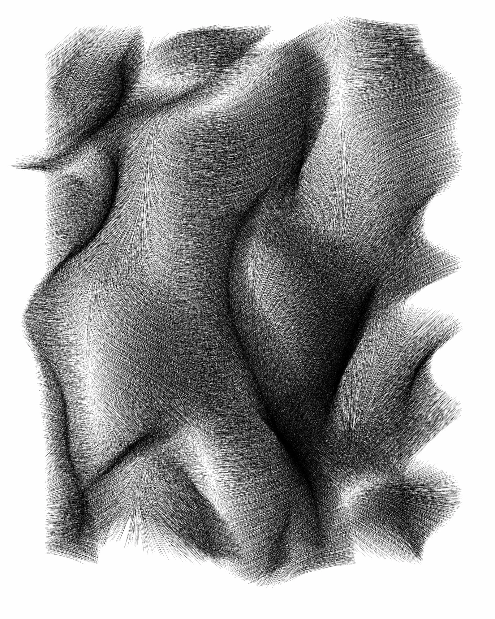 Vector Field no. 29.jpg