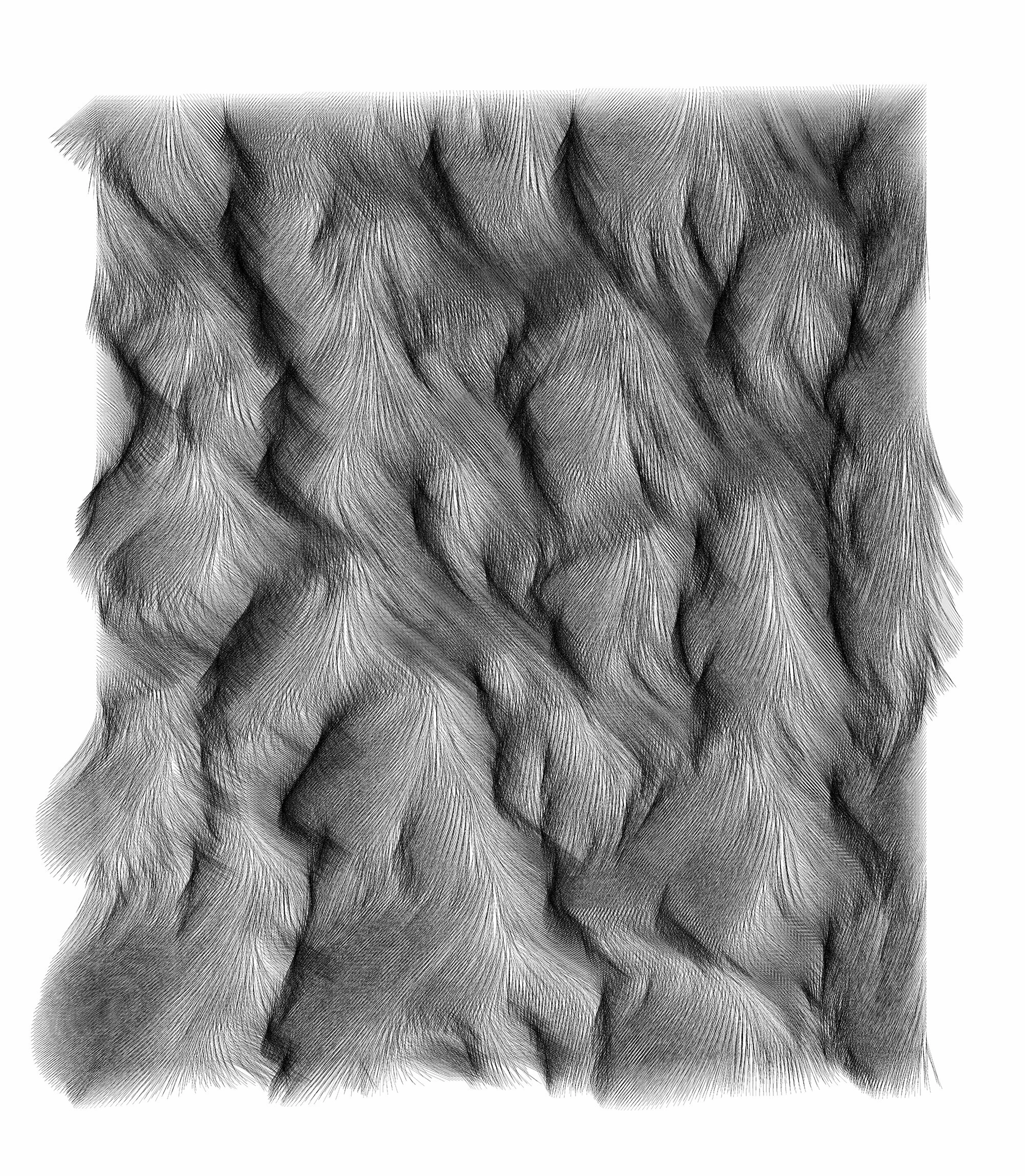 Erosion Field no. 31.jpg