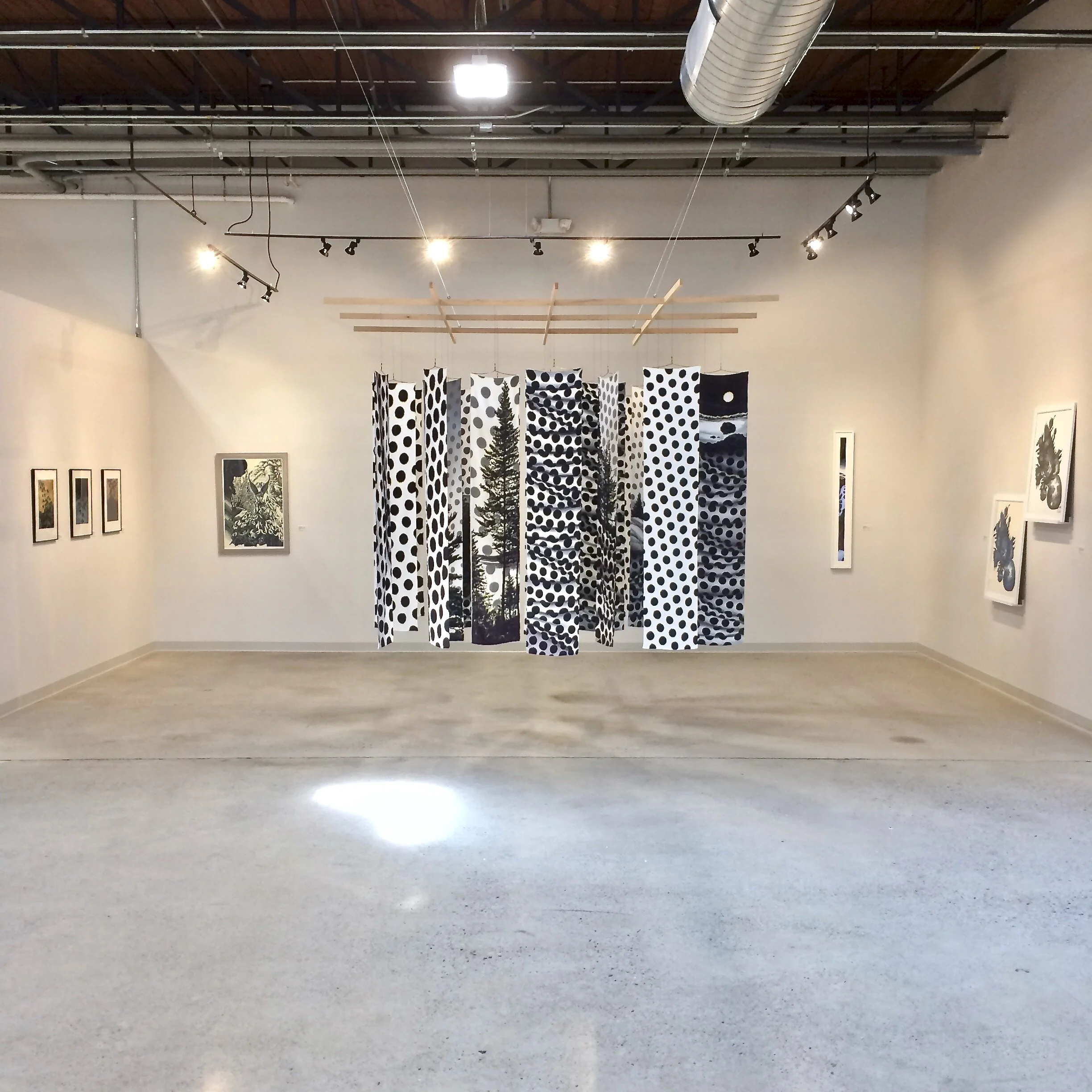 Art Review: Flight