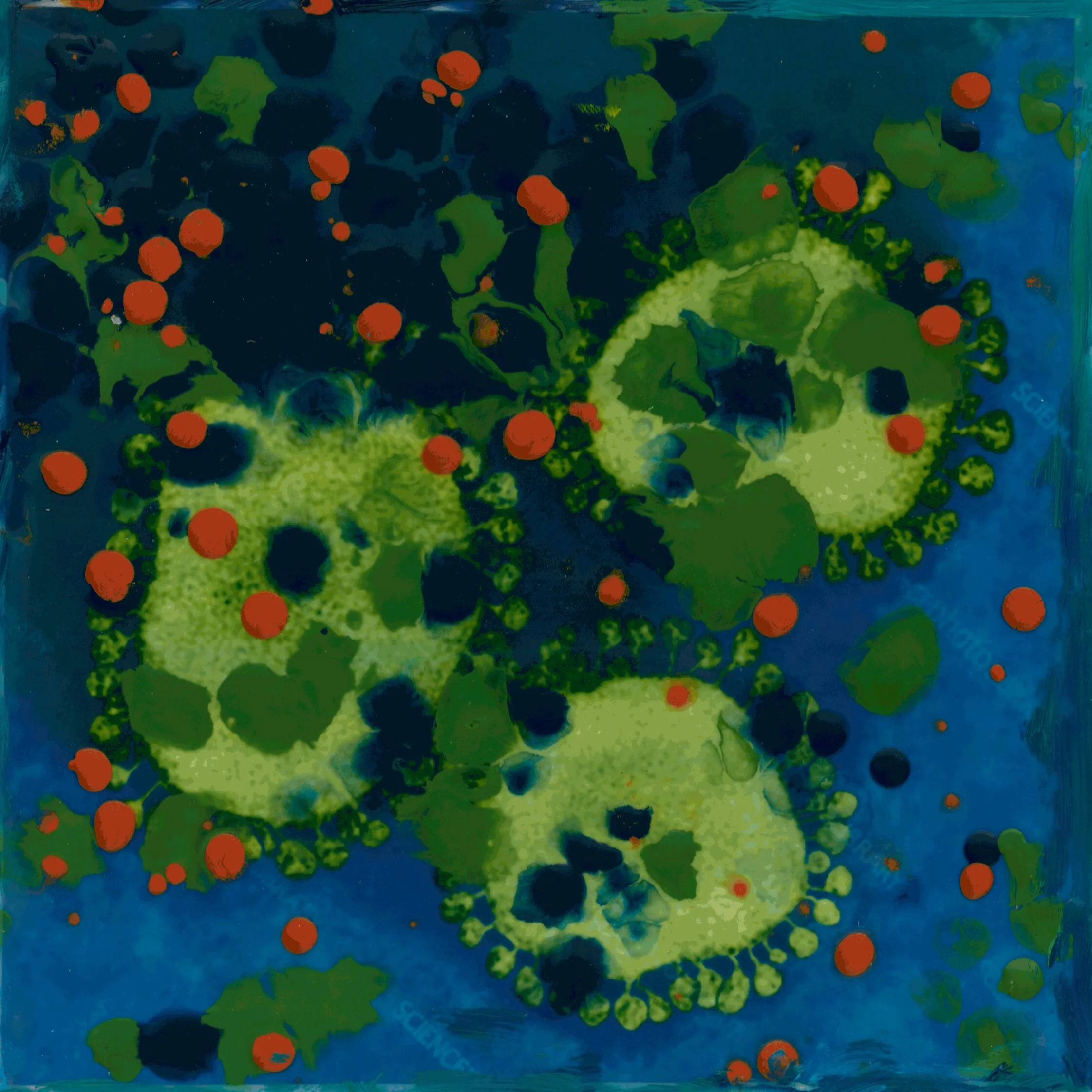 Spotlight: Nanci Kahn