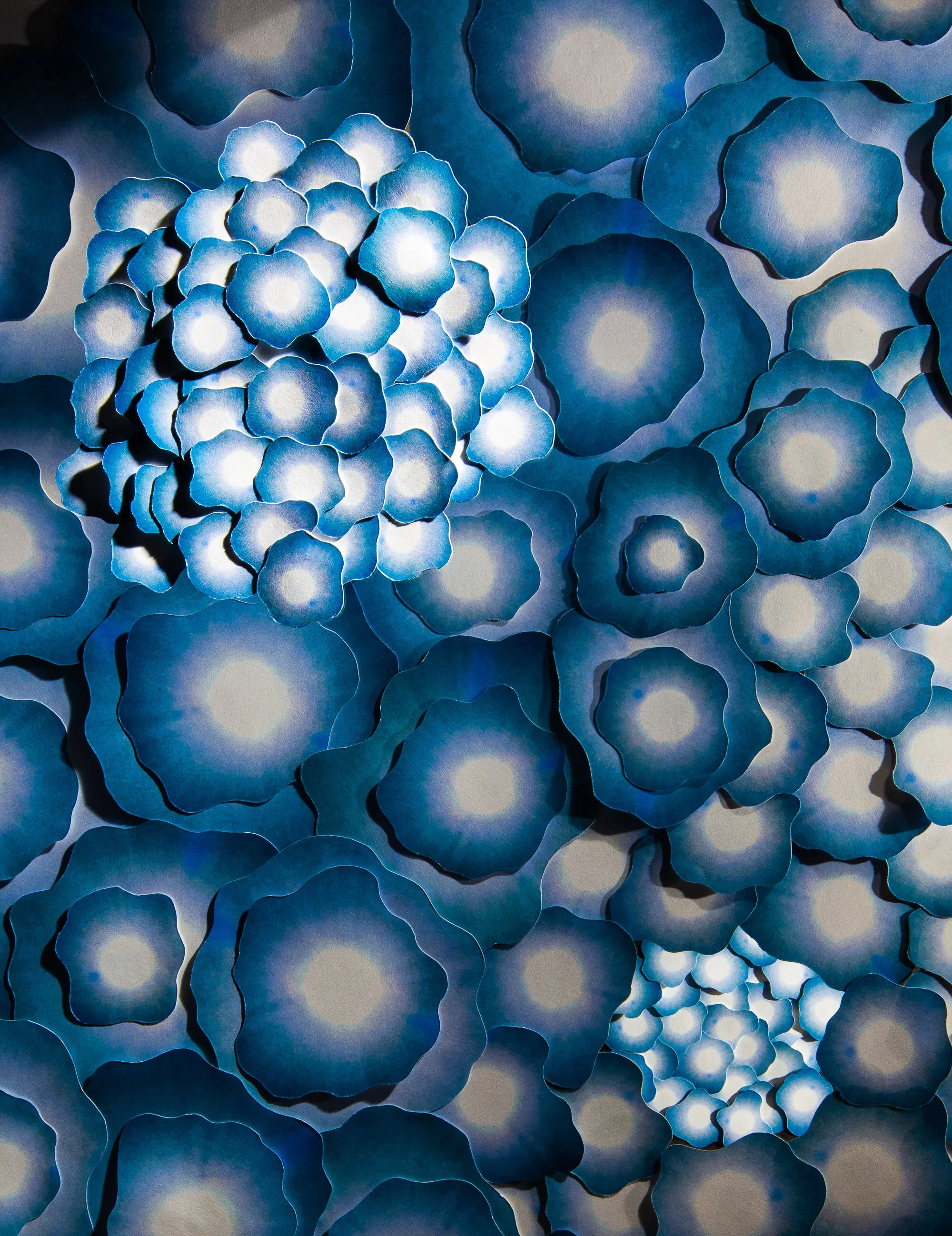 John Woodruff, Division