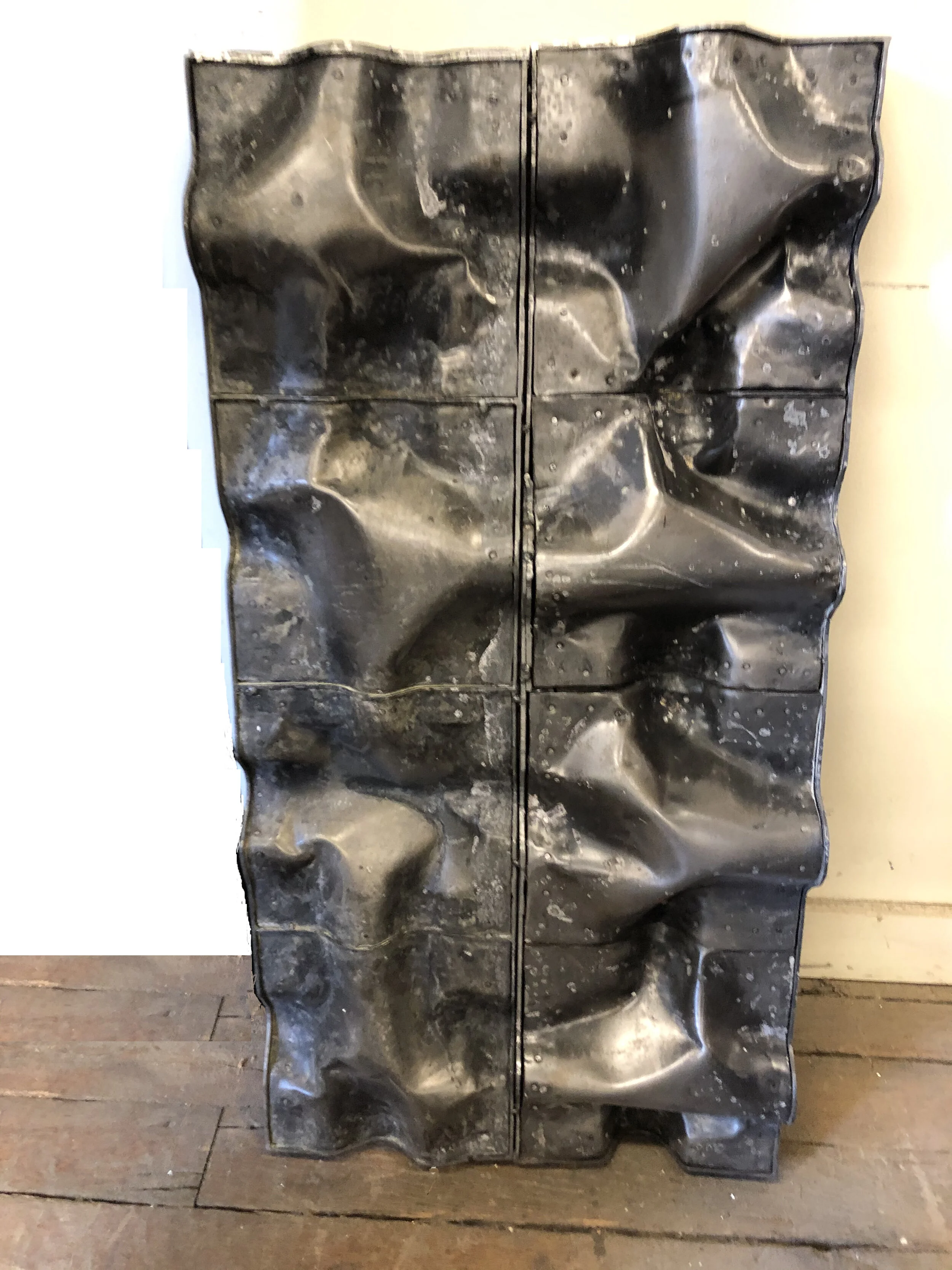Spotlight: William Zingaro