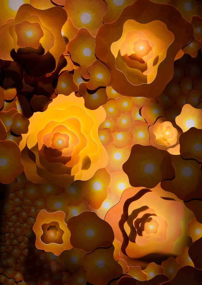 John Woodruff, Setting