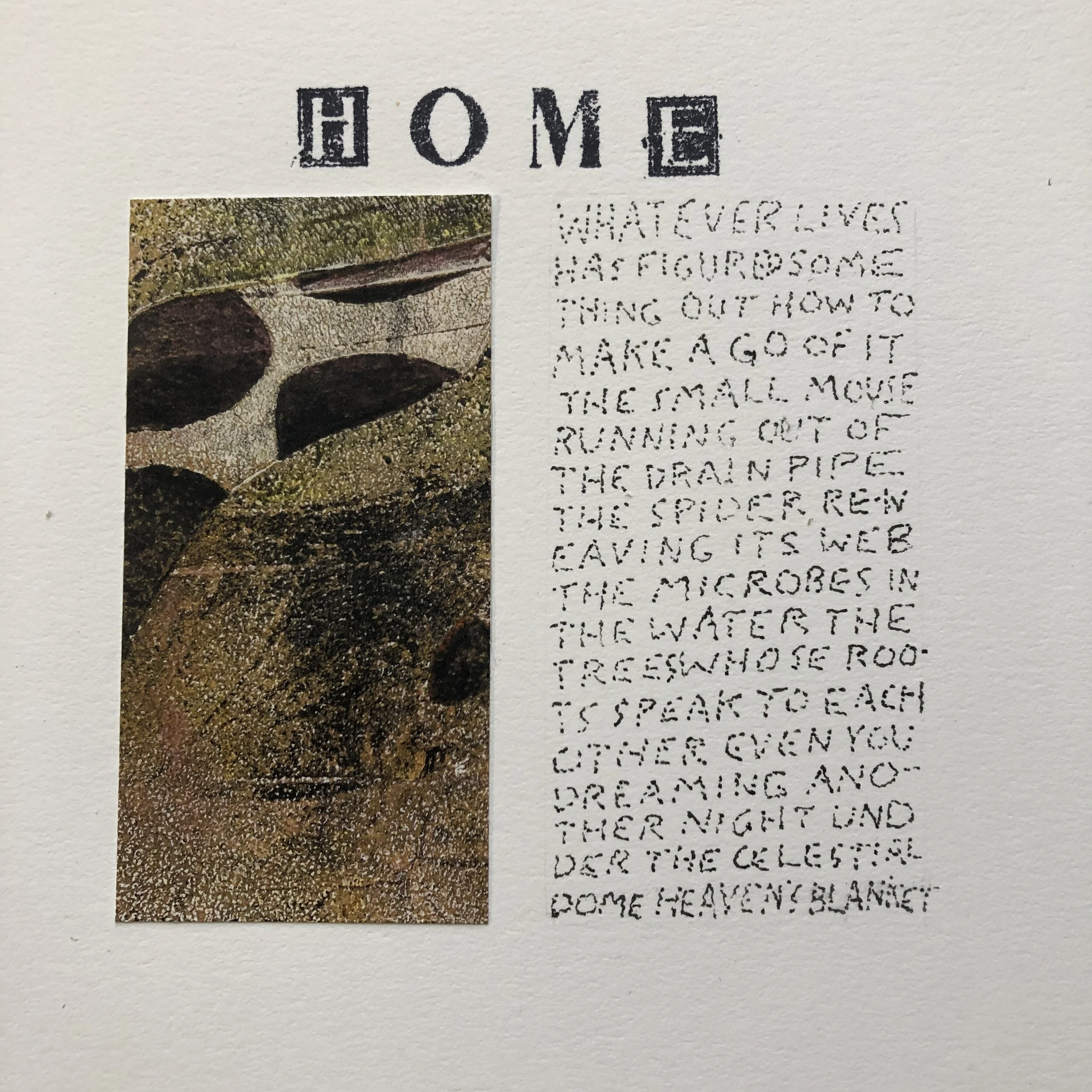 Susan Webster and Stuart Kestenbaum, Home