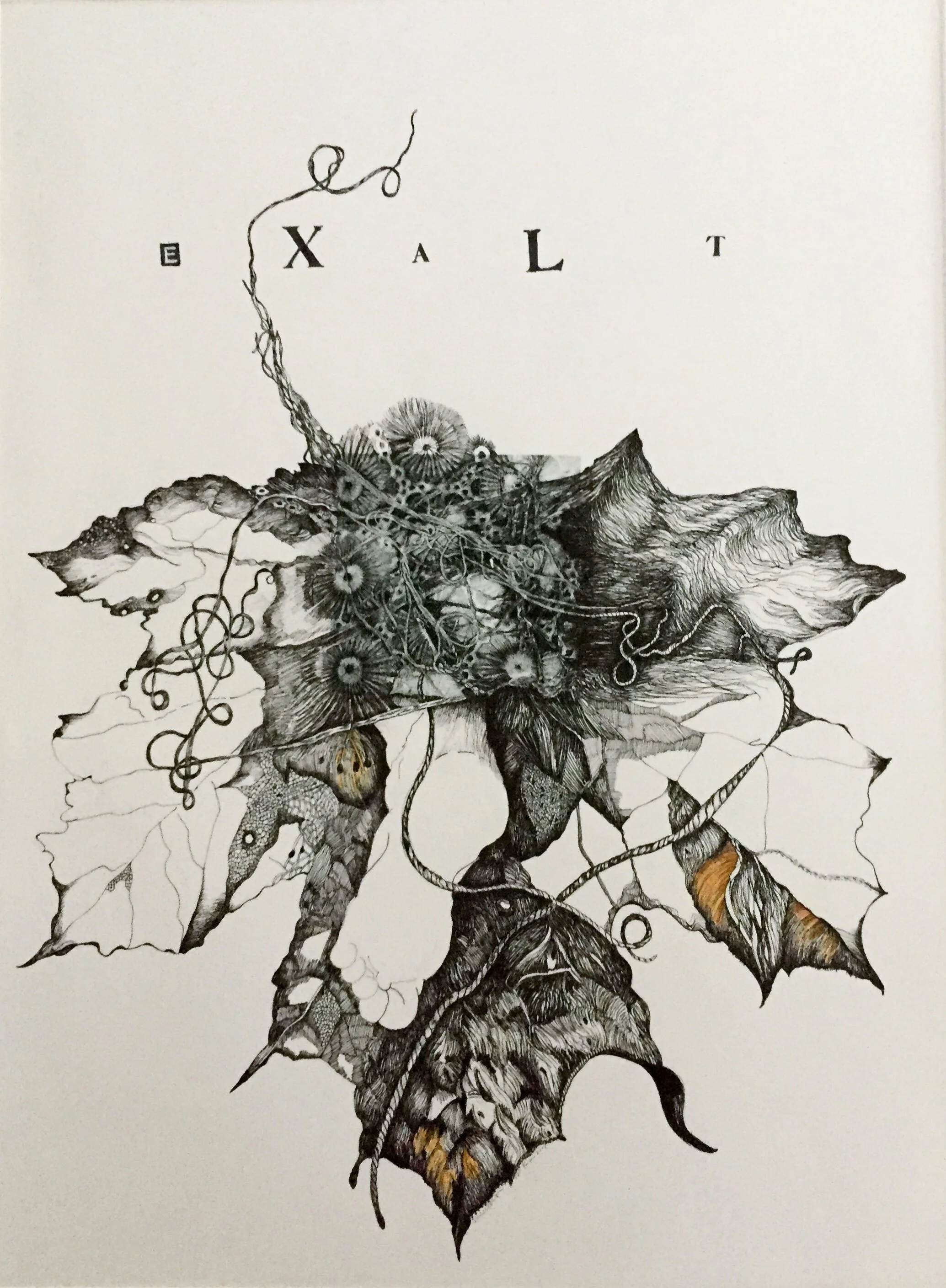 Susan Webster and Stuart Kestenbaum, Exalt (2018)