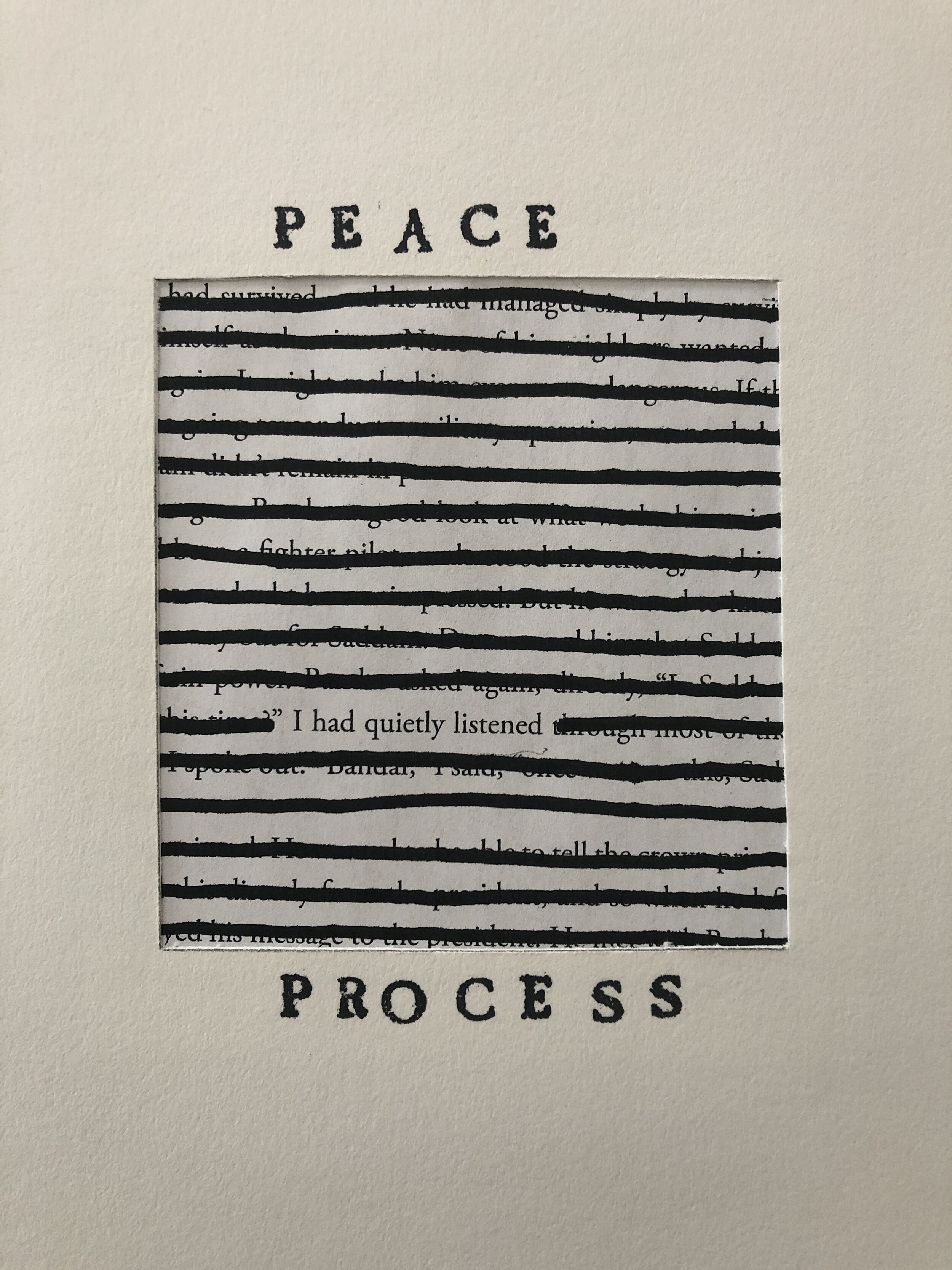 Stuart Kestenbaum, Peace Process 