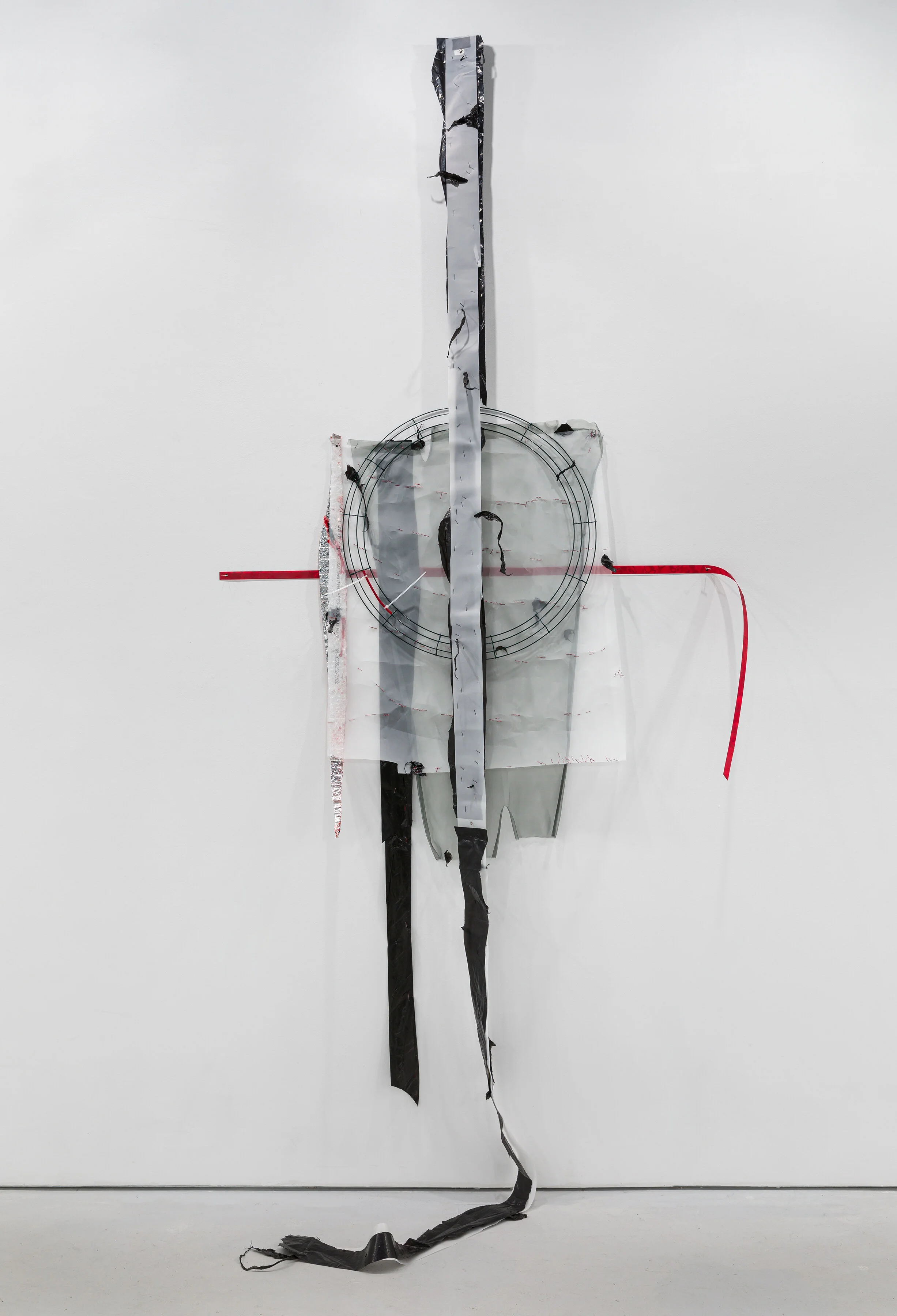 Sele #8 (2019)