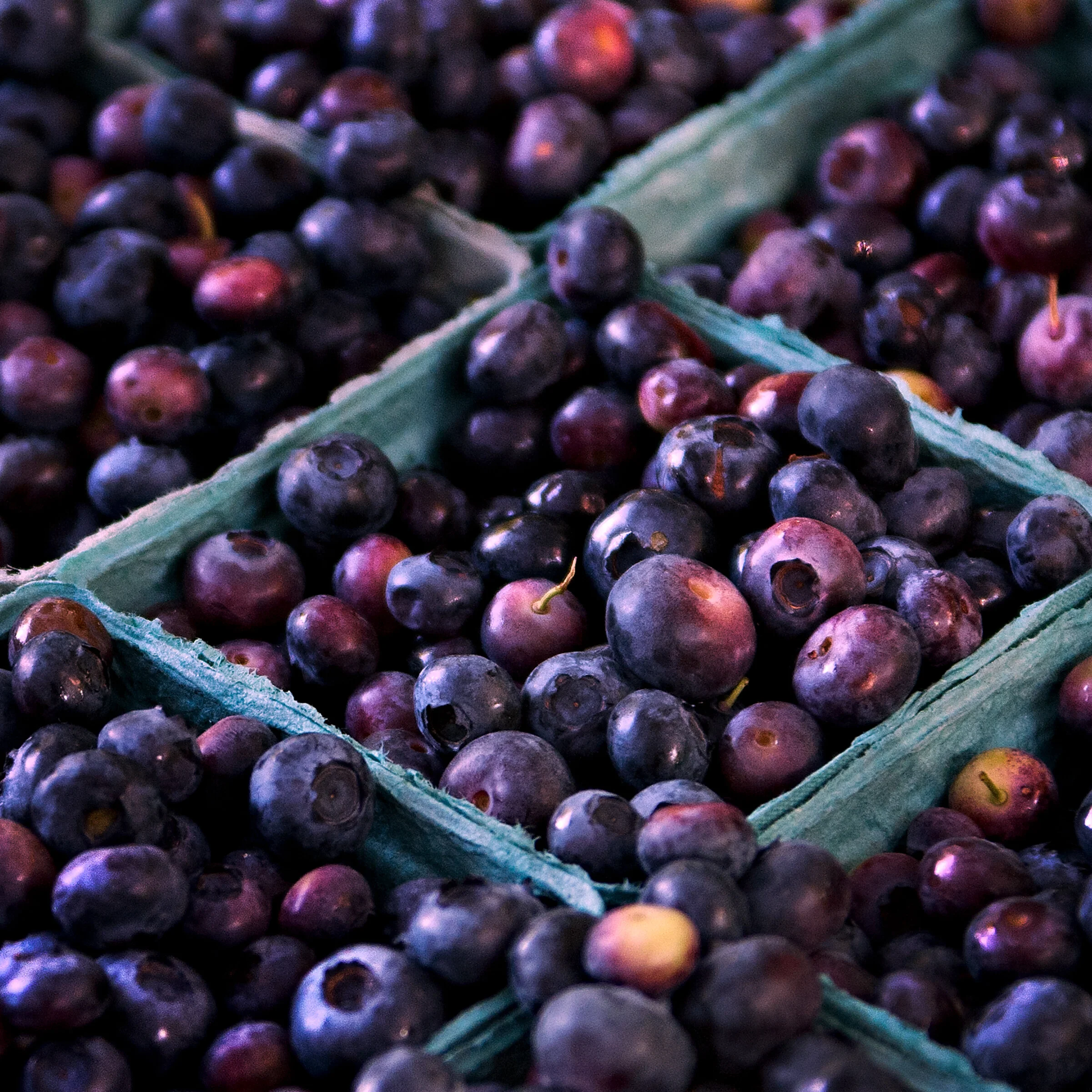 Harvest Season