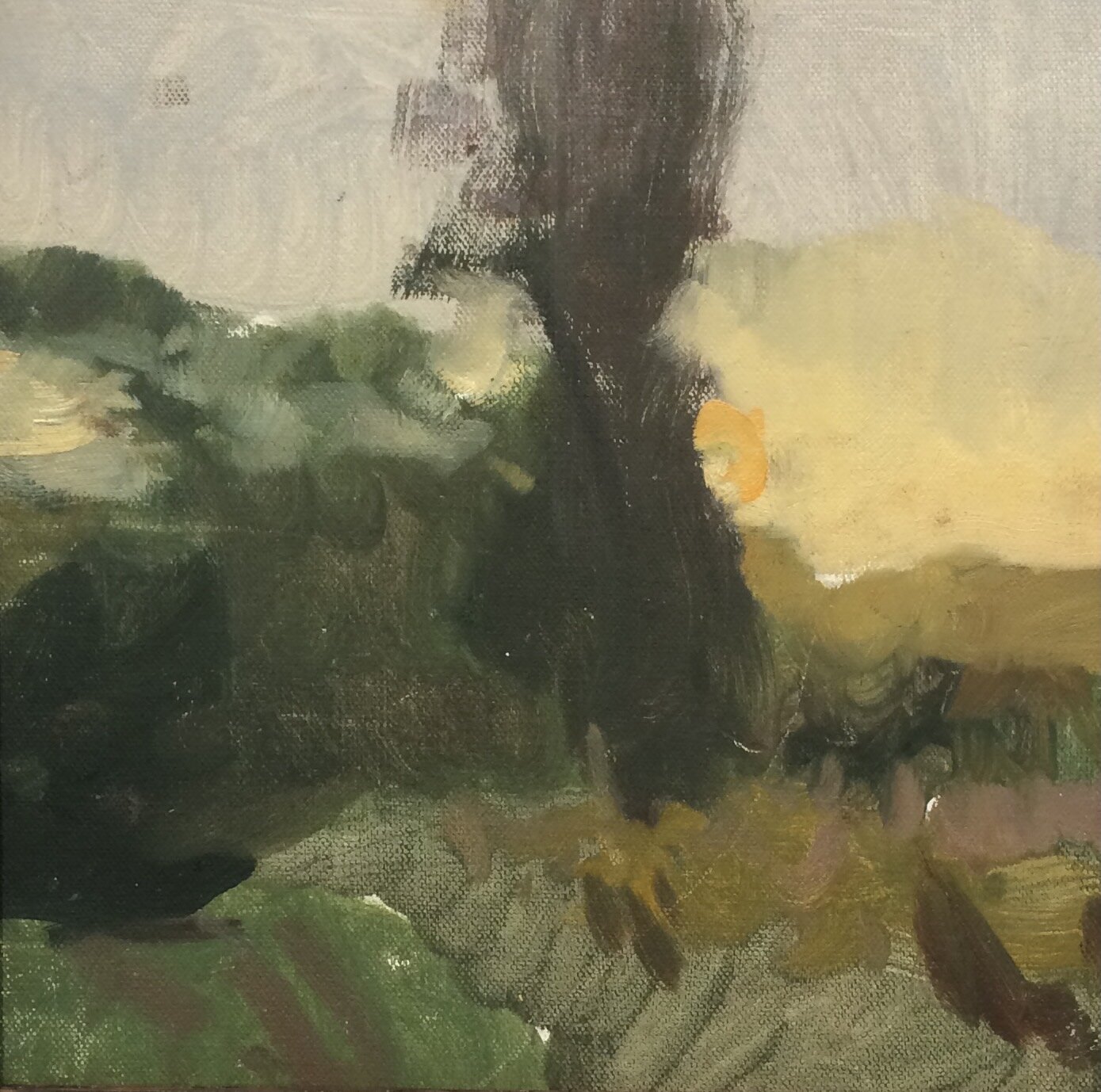 Woodward Point, Sunset Study