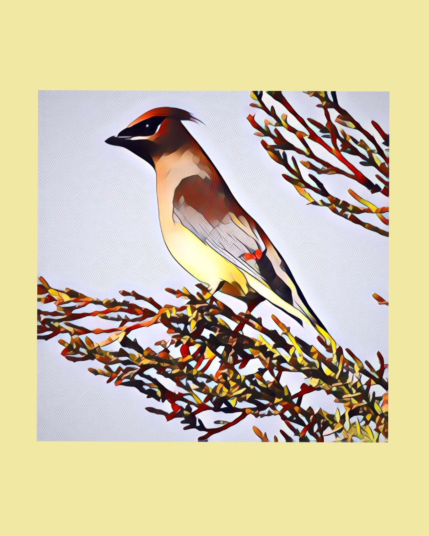 Diane Hudson, When Bird Poses for Postage Stamp