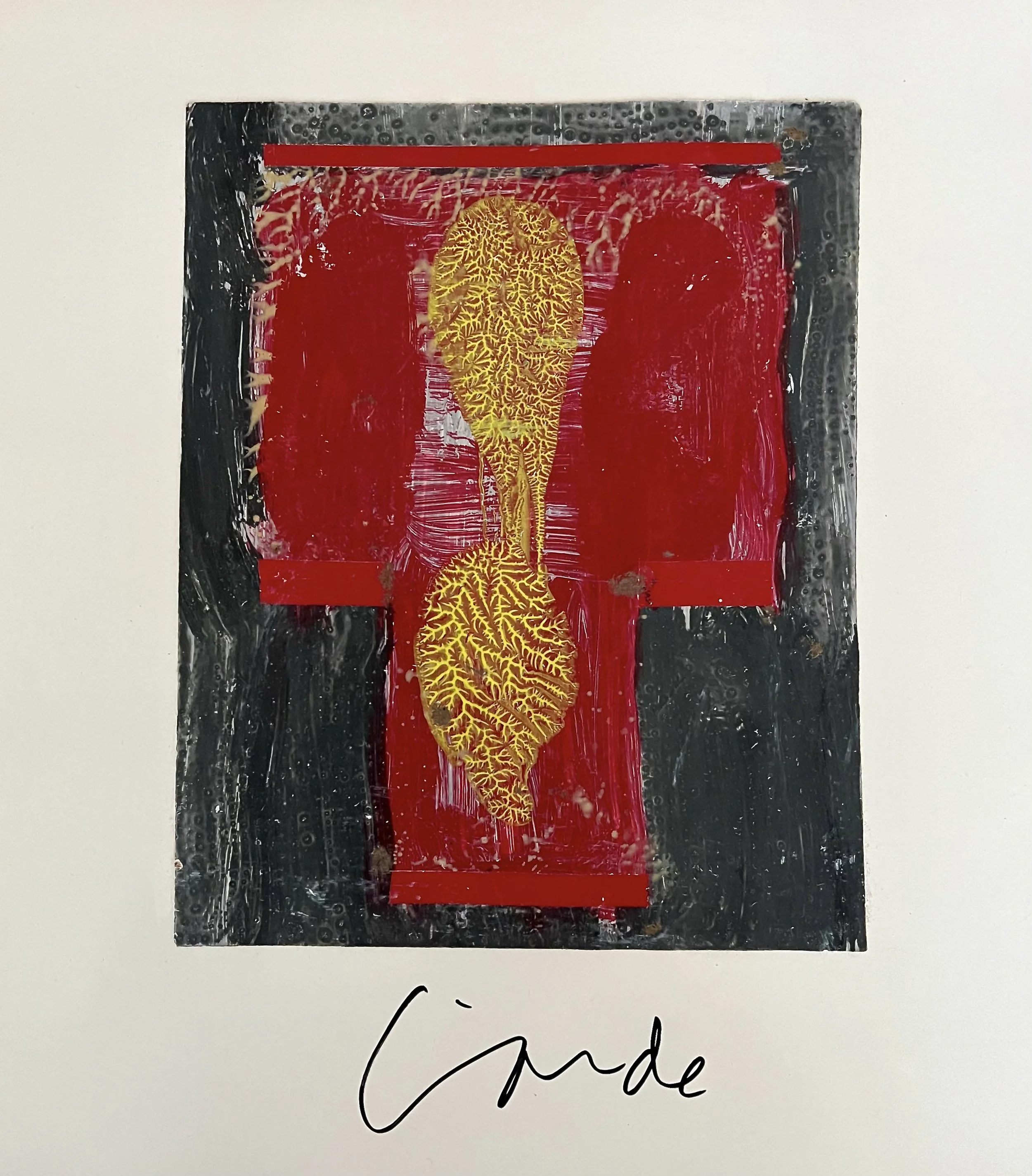 Untitled (Red Kimonon) (2013)