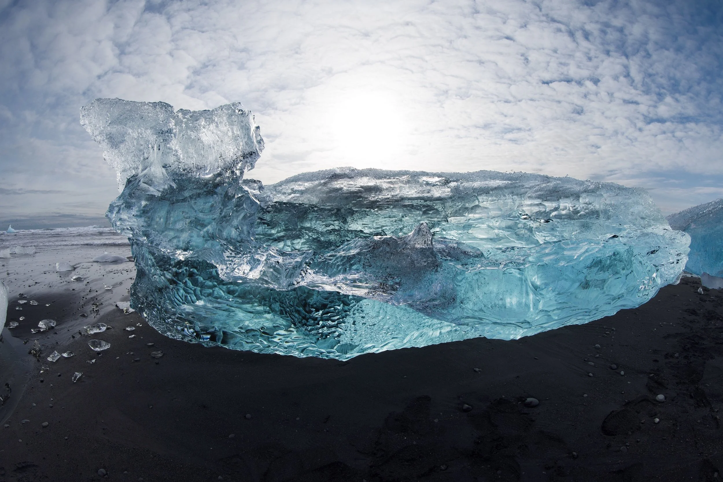 Frozen Whale