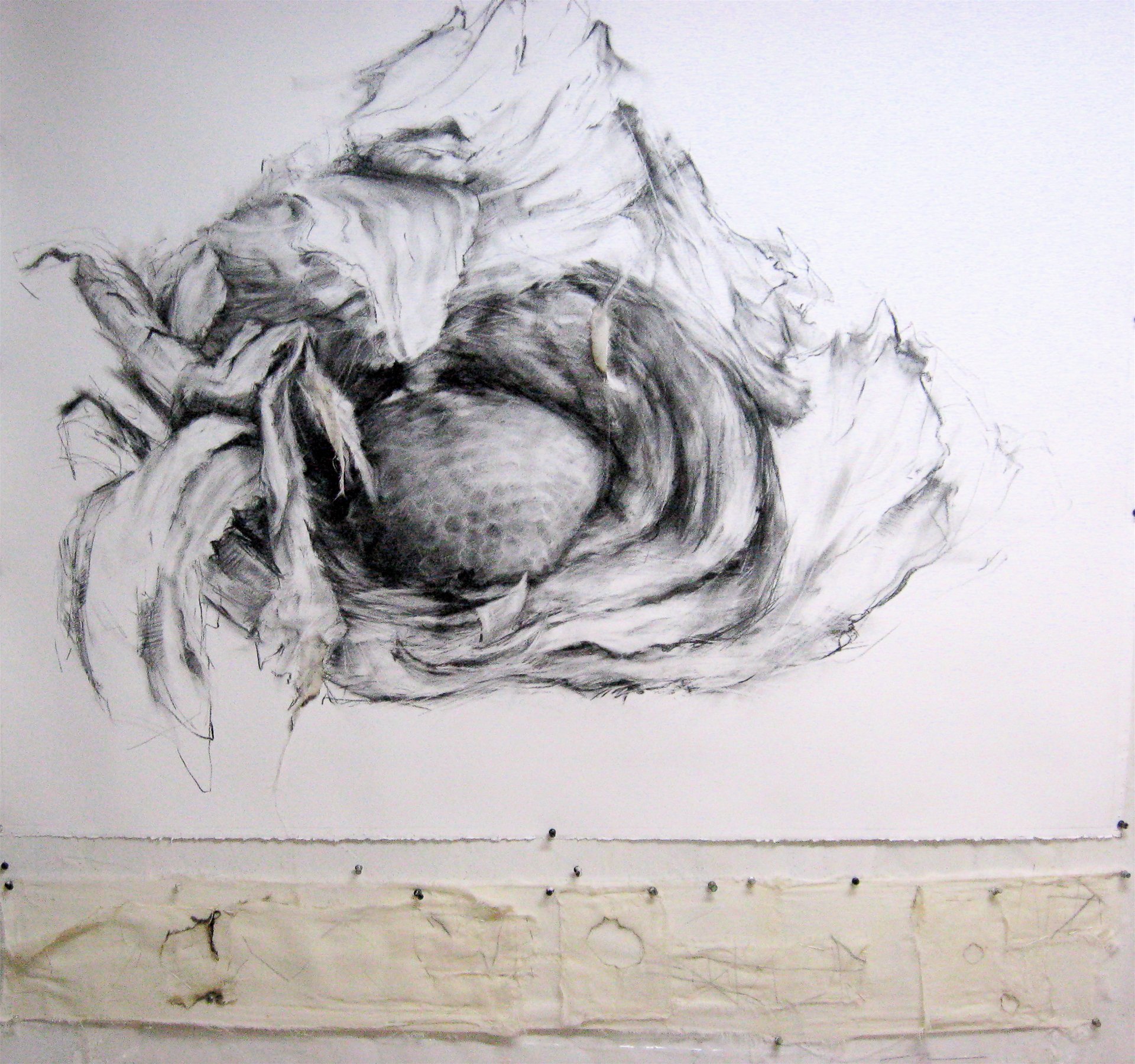 Paper Wasp Nest (2009)
