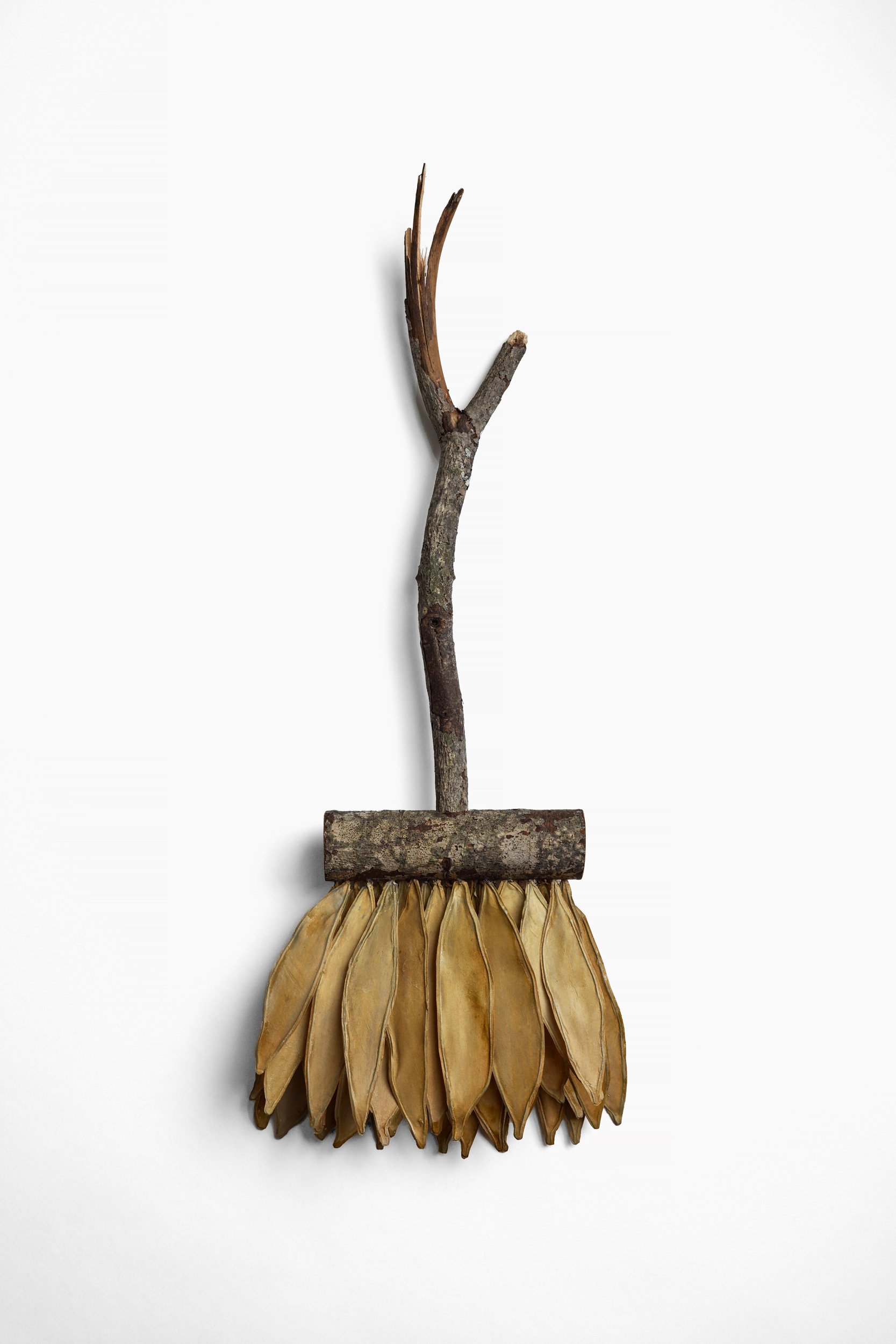 Woodland Brush (2023)