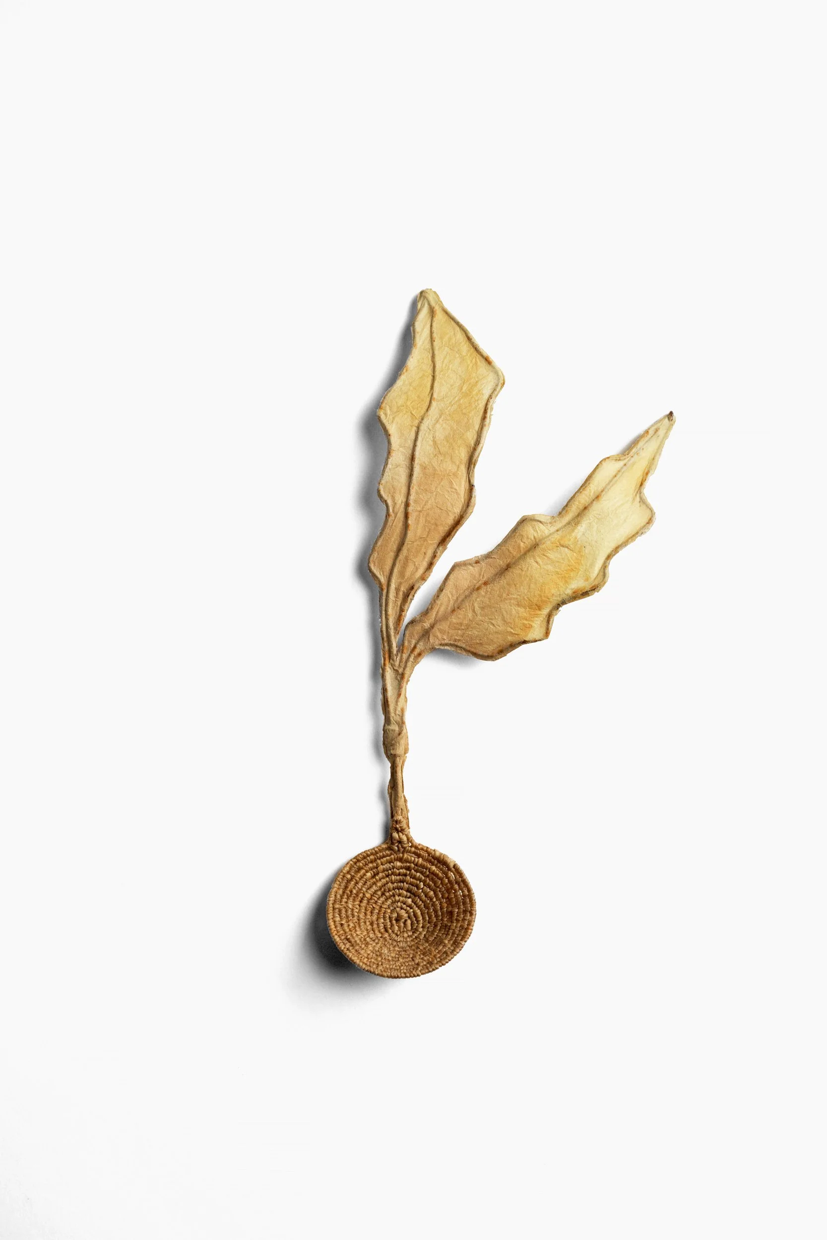 Spoon #105