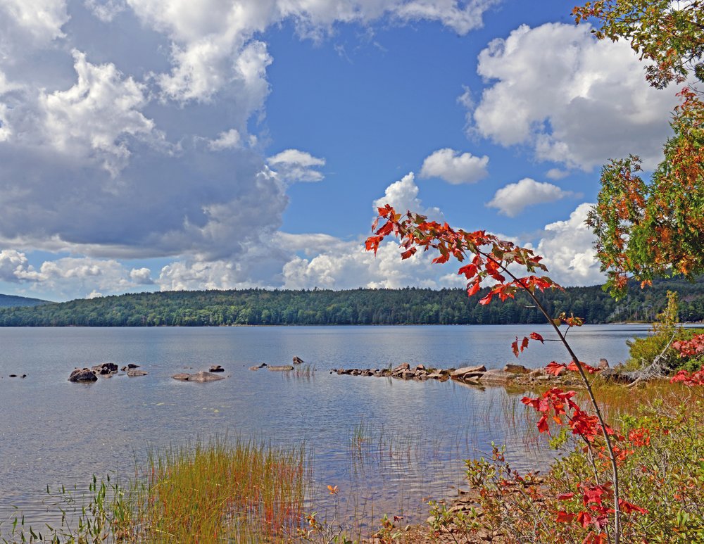 Acadia Park