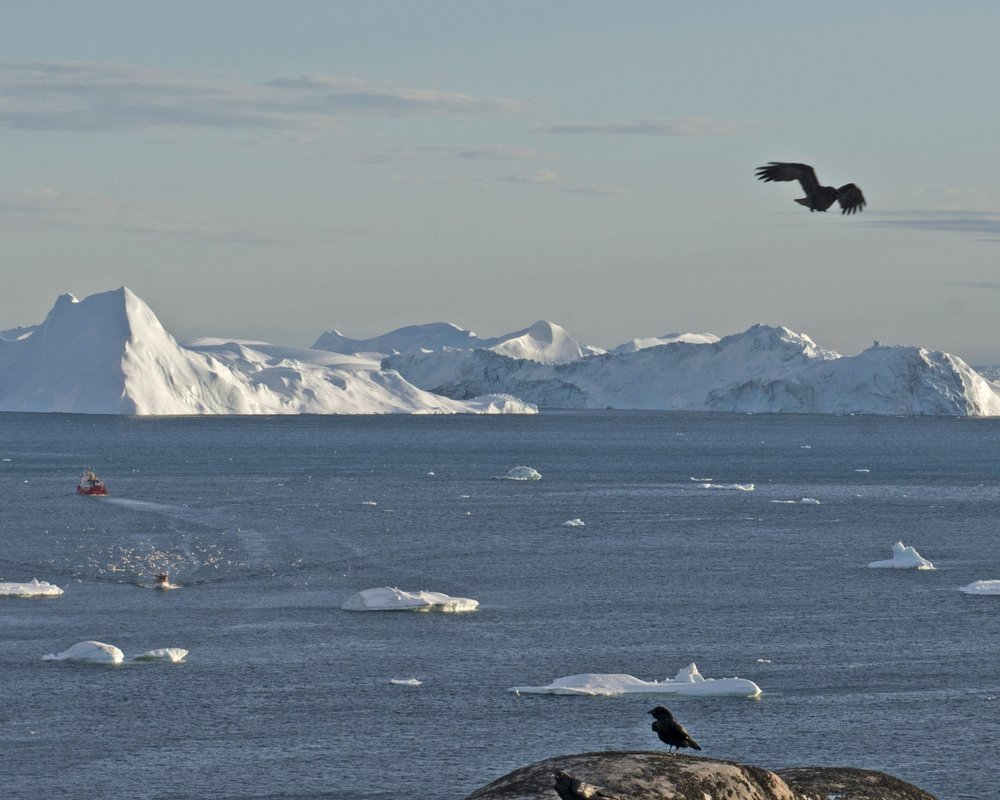 Greenland Iceberg #2