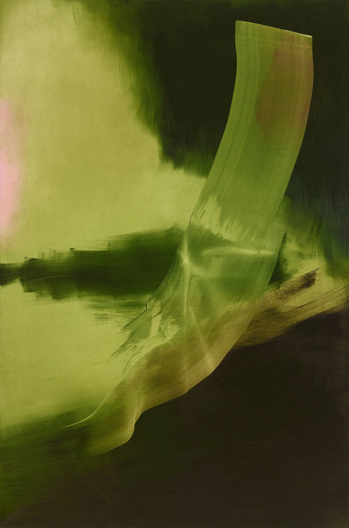 Elise Ansel: Elective Affinities