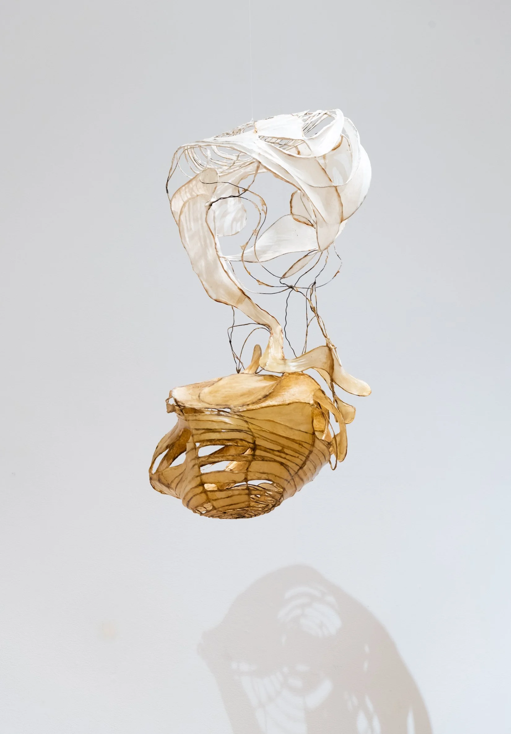 Ashley Page, Duality: A Study of Our Differences #1 (2021)