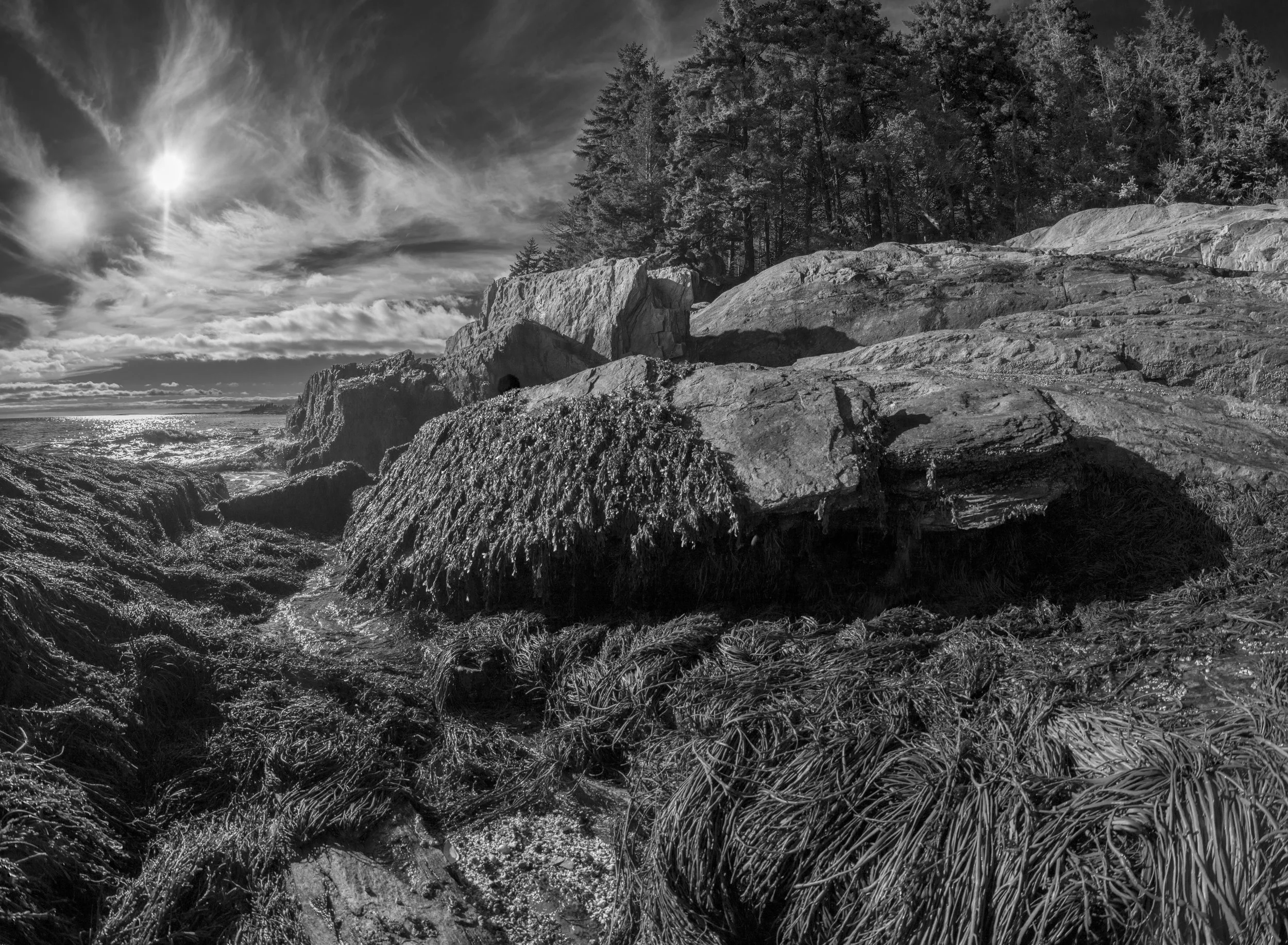 Lee Bowman, Deer Point	