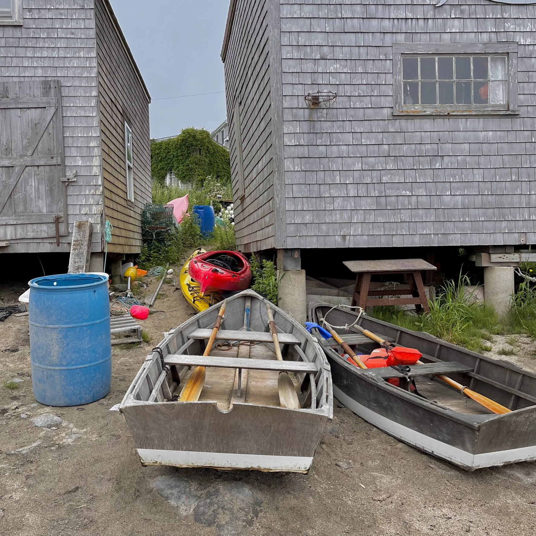 Kelli LK Haines, Fish Beach Series 23	